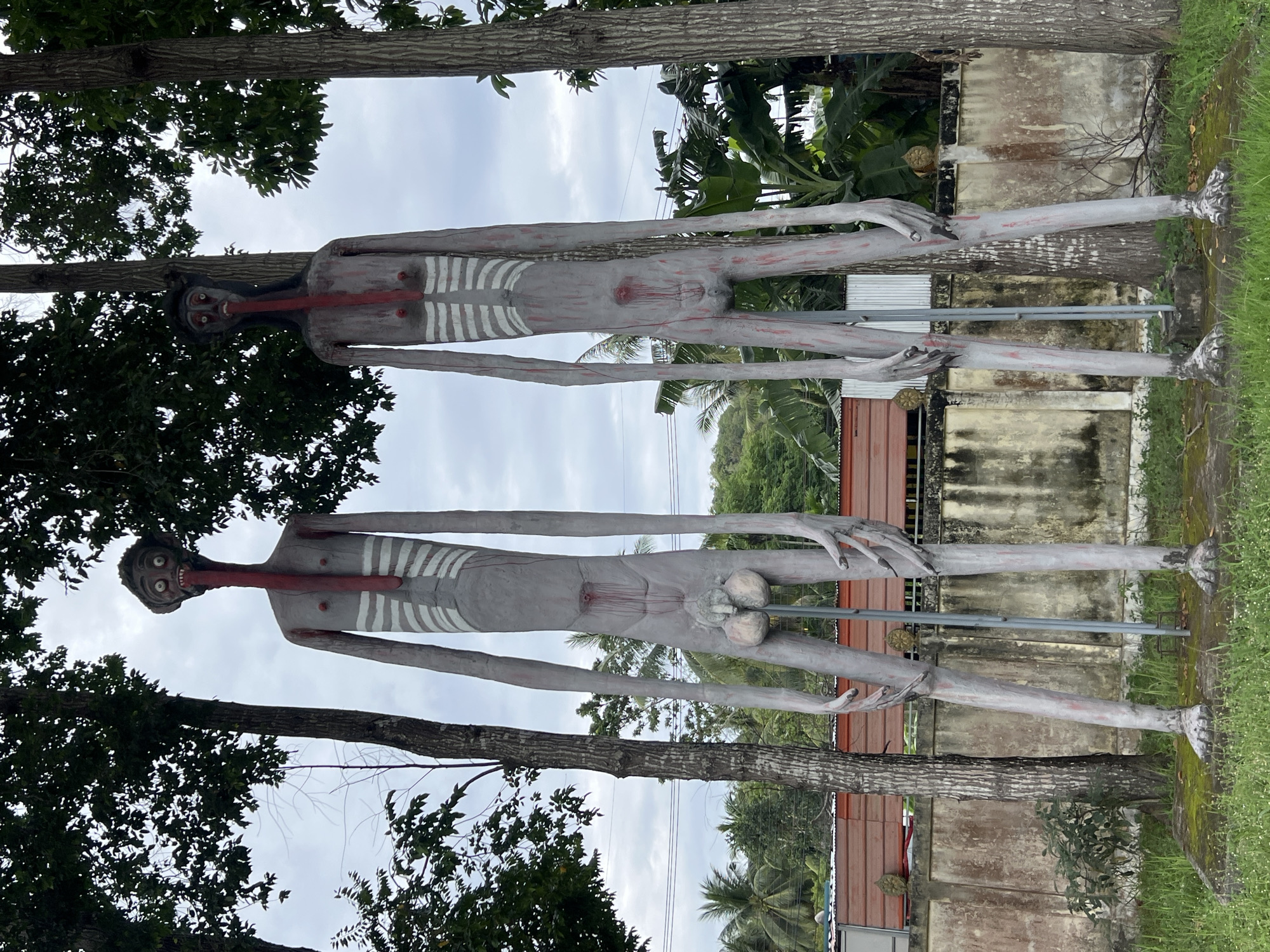 Two tall, thin, grey humanoid figures stand outdoors in what appears to be Ko Pha-ngan District, Thailand. The figures are positioned side-by-side, with the left figure slightly closer to the viewer. They are made of a material that resembles concrete or a similar textured substance, painted a pale grey with white ribs and red accents on their tongues, nipples, and wounds. The figures have elongated limbs and torsos, with skeletal features emphasized. Their heads are roughly oval-shaped with dark eyes and prominent, red, elongated tongues that extend downwards.
The figure on the left has visible male genitalia. Both figures have thin arms with spindly fingers. They stand on roughly sculpted feet. Metal poles are inserted into the ground in front of each figure, seemingly supporting them or part of their construction.
The background shows lush green vegetation, including palm trees and large-leafed plants. Behind the figures and vegetation is a weathered, light-colored wall with some signs of discoloration. Above the wall, a building with a reddish-orange roof is visible. The sky is overcast with a light grey, cloudy appearance. The ground in front of the figures is covered in grass, moss, and some patchy soil. The overall setting suggests an outdoor display, possibly a roadside attraction or a garden feature, in a tropical environment.