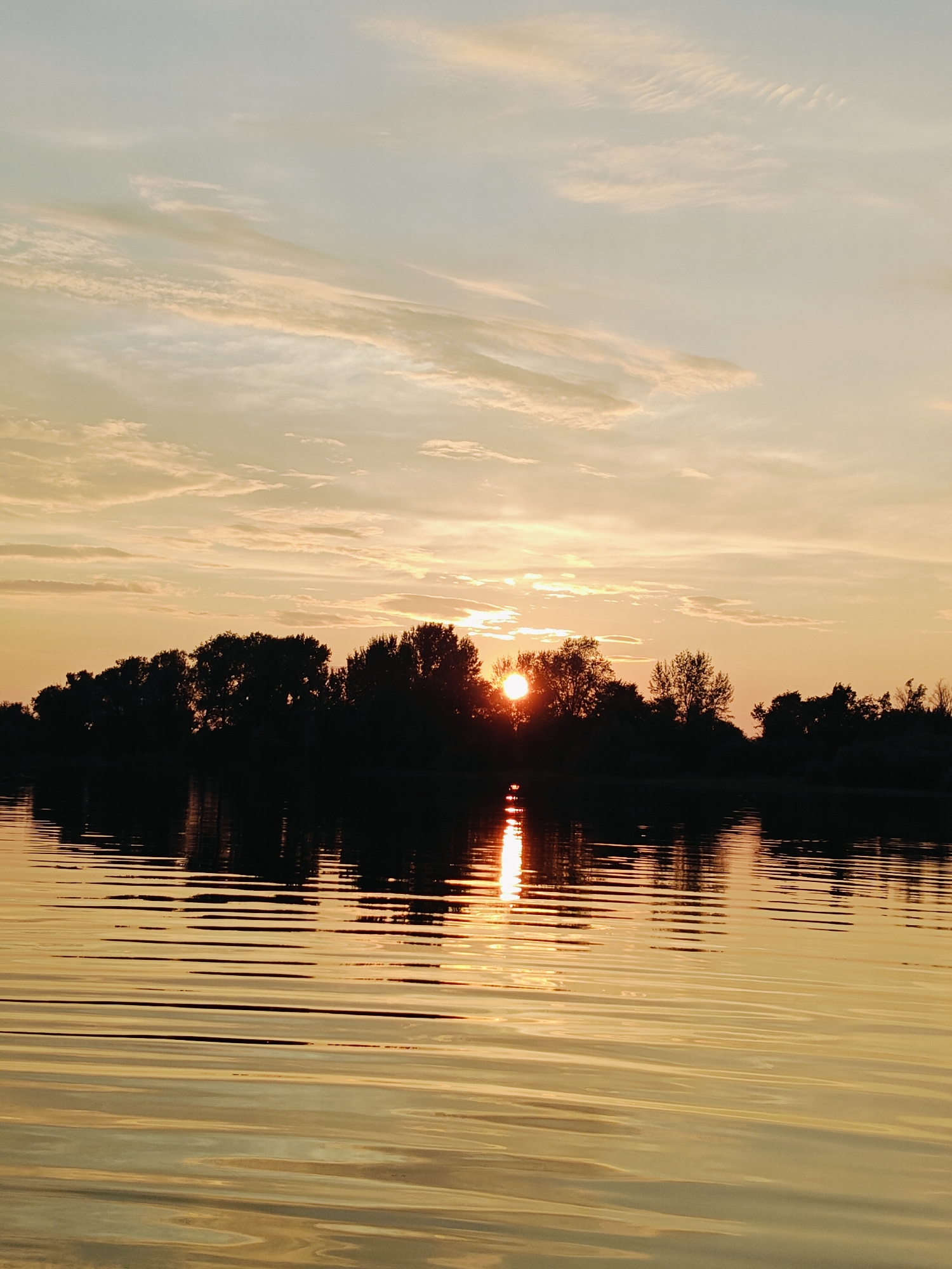 The image depicts a serene natural landscape at sunset. A silhouetted line of trees forms the horizon against a sky filled with soft, muted clouds tinged with orange and yellow hues from the setting sun. The sun itself is partially visible, a bright orb peeking through the foliage. Below the treeline, a body of water reflects the warm colors of the sky and the dark silhouettes of the trees, creating a rippling, abstract pattern on its surface. The overall impression is one of tranquility and natural beauty. The image is taken from a low vantage point, likely from a boat on the water, emphasizing the expanse of the sky and the reflective quality of the water. There are no people, animals, or man-made structures visible in the scene.