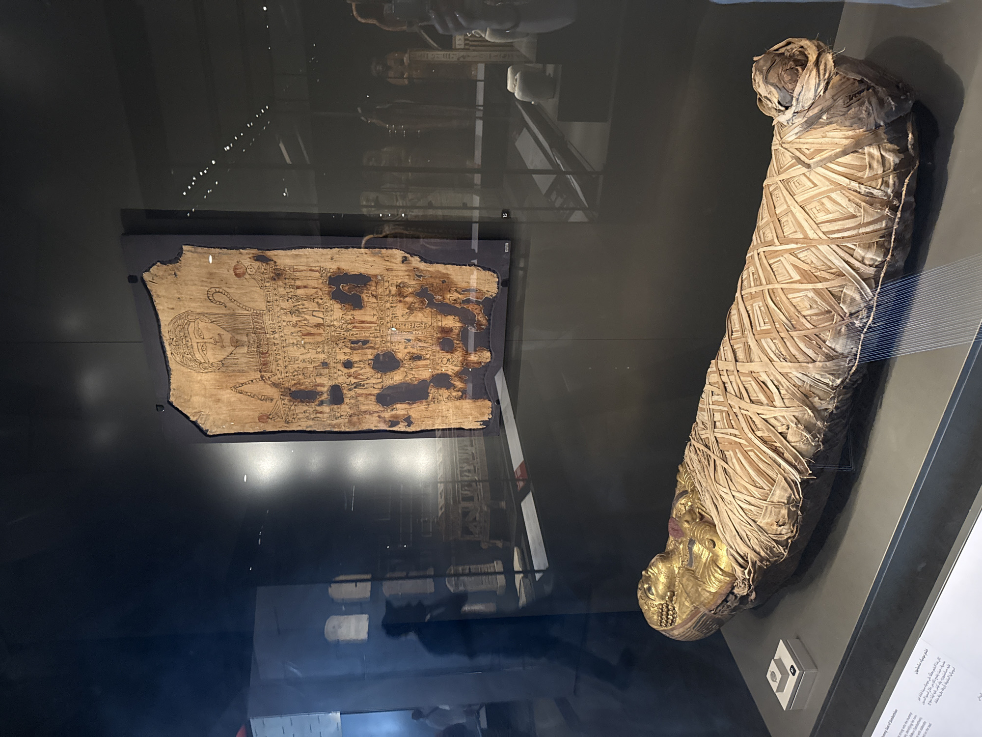 The image shows a mummy wrapped in linen bandages, displayed in a glass case. The mummy is lying on its back, with its head resting on a golden mask. Above the mummy, on the wall of the display case, is a papyrus with a drawing of a human figure and hieroglyphics. The background is dark, with reflections of other exhibits and visitors in the glass. The location is identified as a museum in Kafrat Nassar, Egypt.
