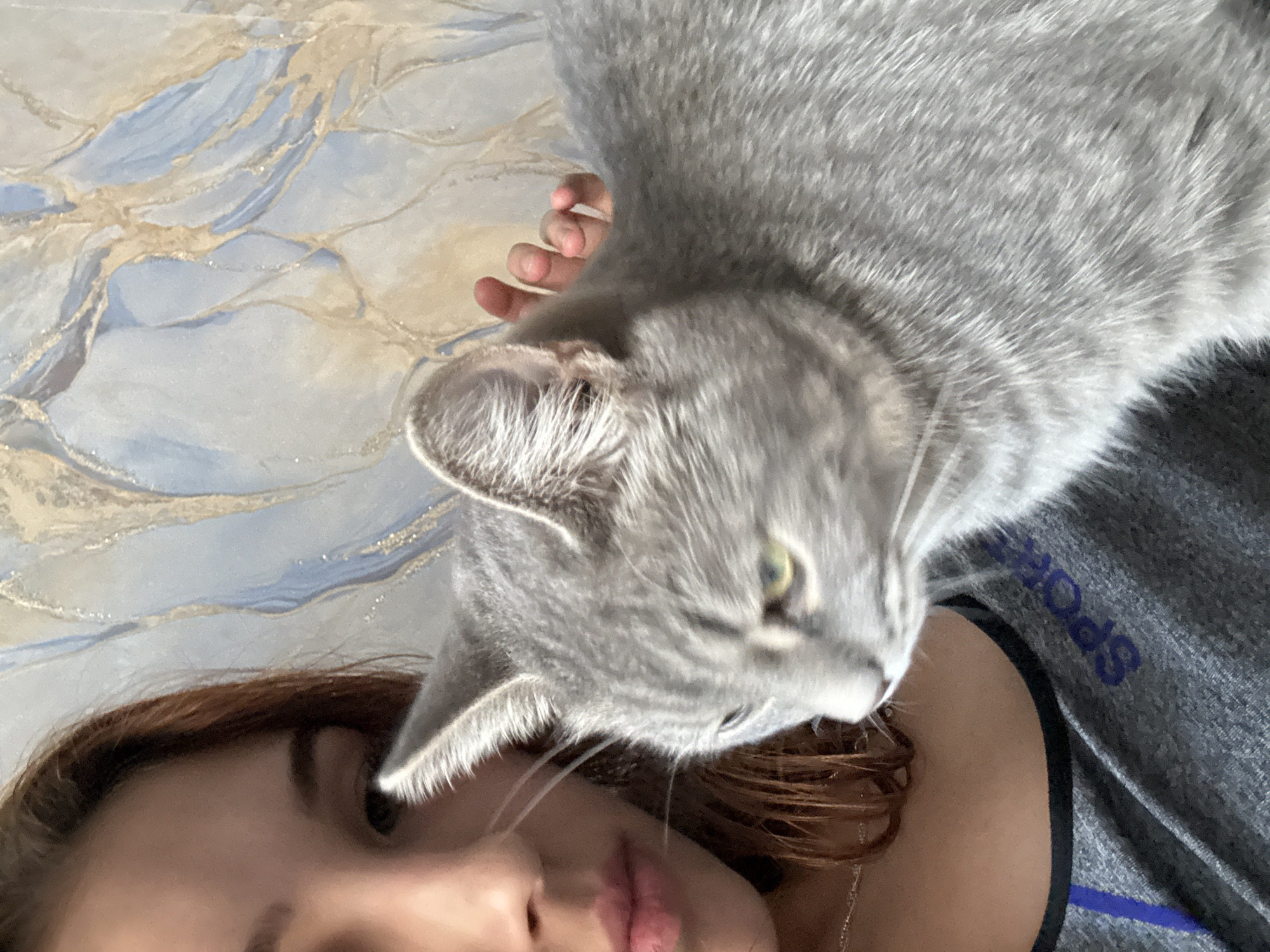 An indoor medium shot captures a young woman with auburn hair, partially visible on the left, holding a grey tabby cat. The cat is positioned in the foreground, its head and upper body filling the right side of the frame, facing left with its green eyes looking forward. The woman's left eye, nose, and lips are visible, with her hair falling over her shoulder. She is wearing a grey t-shirt with blue trim and the word "SPORT" visible in blue letters. A delicate necklace is visible on her neck. Behind the subjects, a wall with a marbled pattern of blue, white, and gold hues serves as the background. A person's hand with visible fingers is touching the cat's ear from behind.
