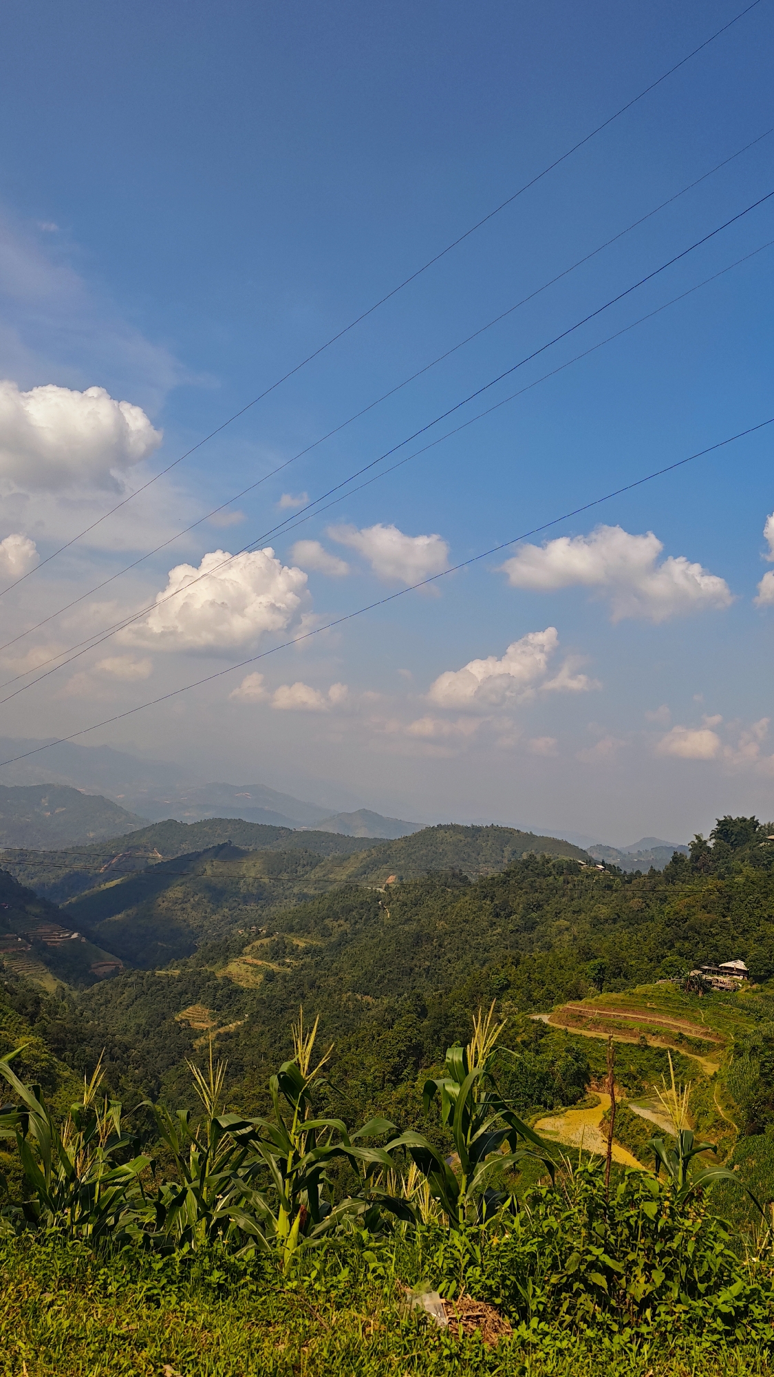 The image depicts a landscape in Mậu Duệ Commune, Vietnam, featuring a hillside vista under a partly cloudy blue sky. Power lines stretch across the upper portion of the frame. The hillsides are covered with dense green vegetation, including corn plants in the foreground. Terraced land is visible on one of the hills. A building is situated on the terraced hillside. A road is present in the scene.