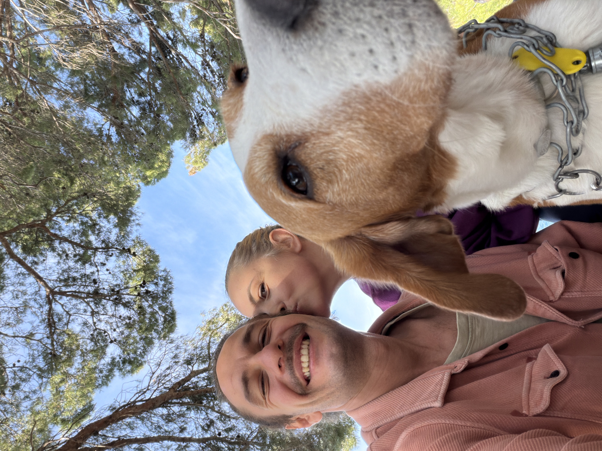 The scene depicts a selfie taken from a low angle, likely near Petrovac centar, Montenegro, judging by the foliage resembling pine trees. A smiling man with a mustache is positioned at the bottom of the frame, wearing a peach-colored shirt. A young woman is slightly behind him, appearing to kiss him on the head. Overlapping both is a dog, likely a beagle mix based on coloration, with its head prominently displayed. The dog is wearing a metal chain collar with a yellow plastic piece attached. The background includes a blue sky visible through the trees. The composition is dominated by the subjects' faces and the dog's head, creating a sense of closeness and informality.