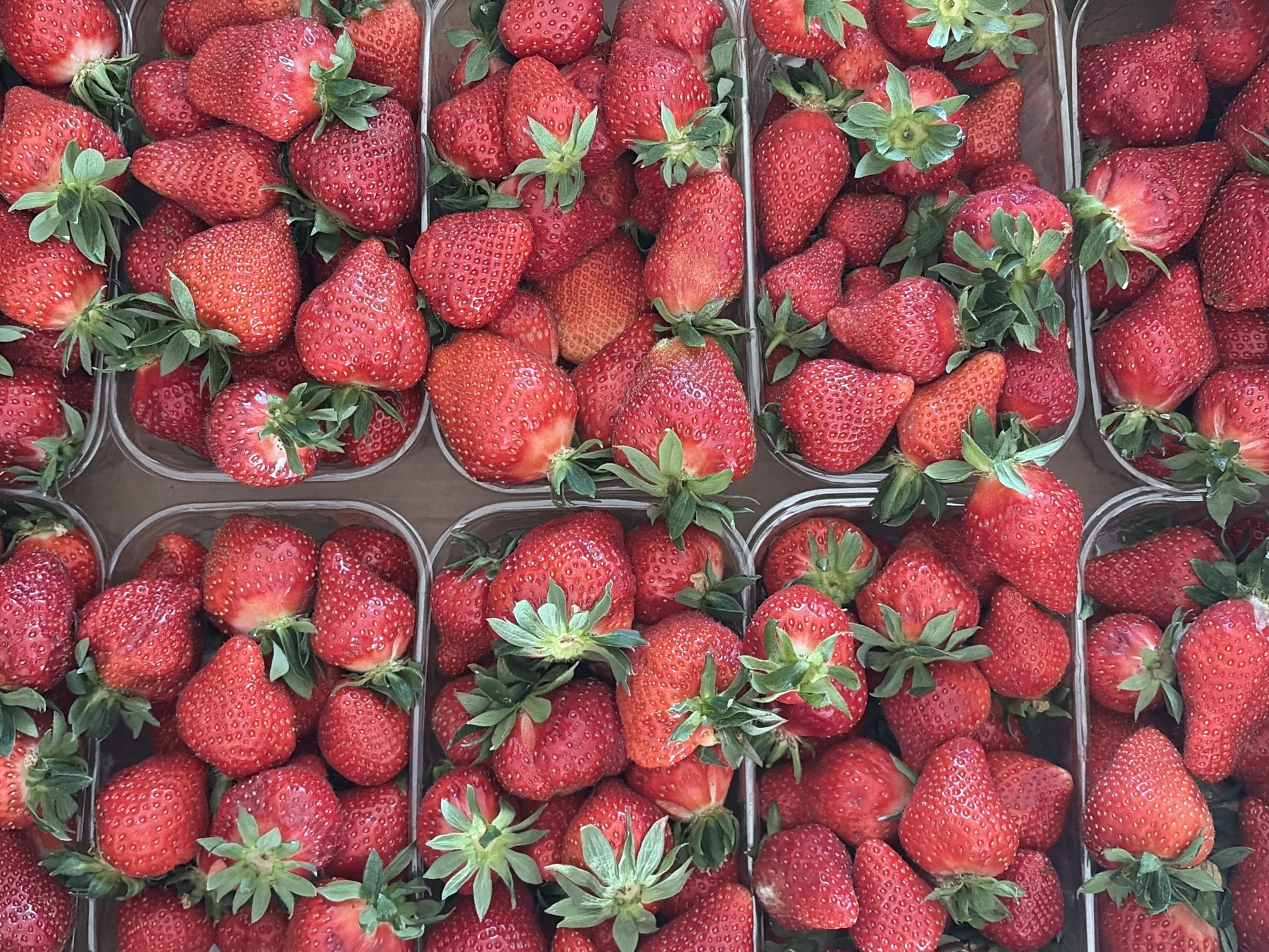 The image displays several clear plastic containers, each filled to the brim with fresh, ripe strawberries. The strawberries are bright red with green stems and leaves still attached. The containers appear to be placed on a flat, neutral-toned surface. The scene depicts an abundance of freshly harvested strawberries, likely arranged for sale or display. There is no visual evidence to confirm this image was taken in Chaikovsky, Russia.