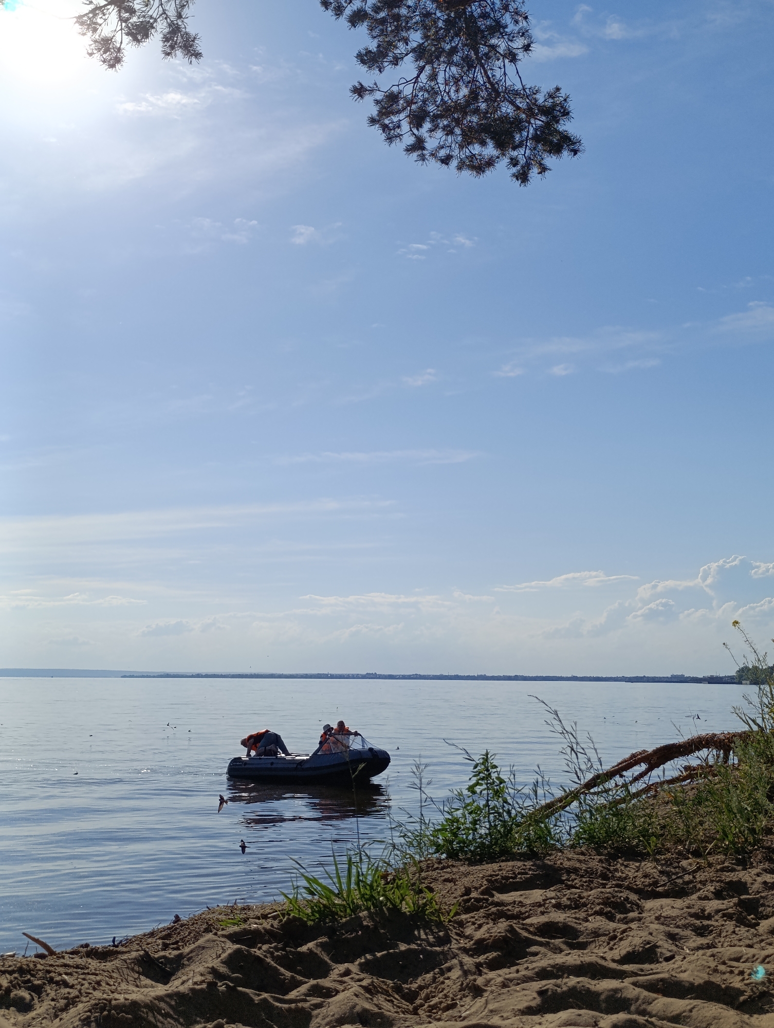 In a wide shot of a sun-drenched scene, a sandy shore meets a tranquil body of water. The sky is a vast expanse of pale blue, dotted with wispy clouds and partially obscured by the dark, needle-laden branches of a pine tree in the upper portion of the frame. The water reflects the sky, creating a shimmering surface. A dark-colored inflatable boat is adrift on the water, occupied by two individuals. One person, wearing an orange vest, is leaning over the side of the boat, appearing to be engaged in an activity. Another person, also wearing an orange vest, is seated in the boat. Small birds can be seen flying above the water and near the boat. The shore in the foreground is a textured expanse of sand with some scattered debris, including a small branch. Green vegetation sprouts along the edge of the water. The distant horizon shows a faint outline of land, possibly a city or town. The sun casts a bright glare, particularly in the upper left corner of the image.