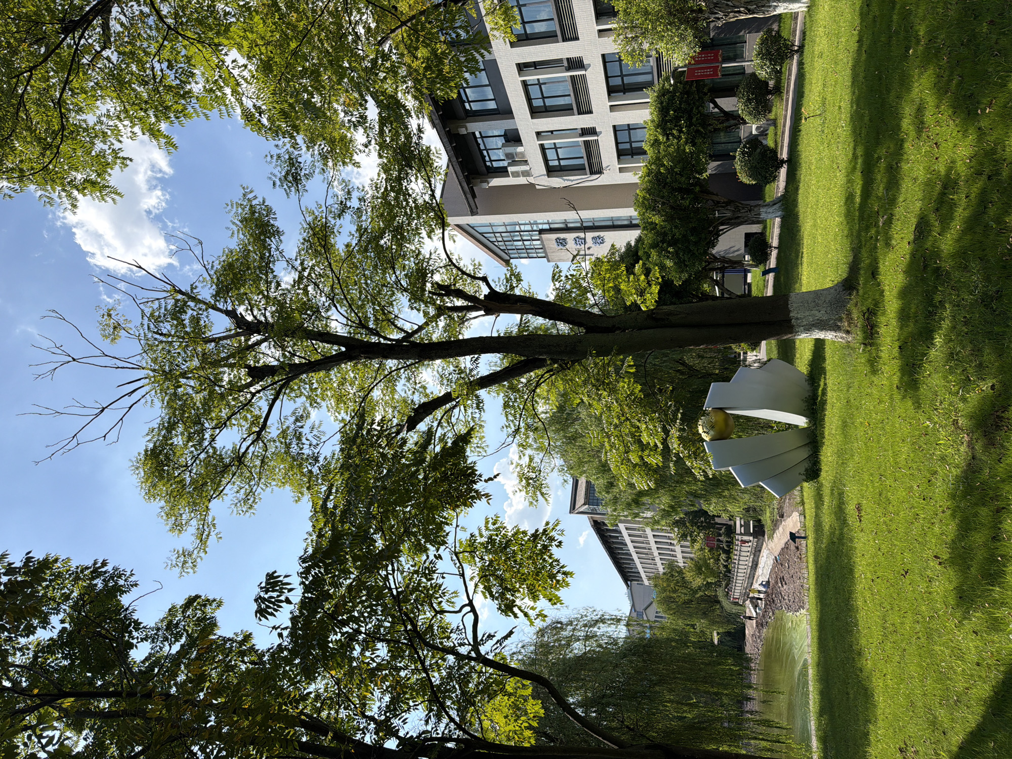 The image depicts a green park area with a body of water on the left, bordered by a walkway and a modern building complex. Several trees, some with drooping branches, frame the scene. In the foreground, a large, white abstract sculpture with a spherical element at its top is visible on the manicured lawn. The building in the background features multiple windows and appears to be an educational or administrative institution, with visible signage in Chinese characters. A few individuals are present on the walkway near the water's edge. The sky is blue with scattered white clouds. This scene is consistent with a university campus or public park in Jiangjin, China, likely during daytime with ample sunlight.