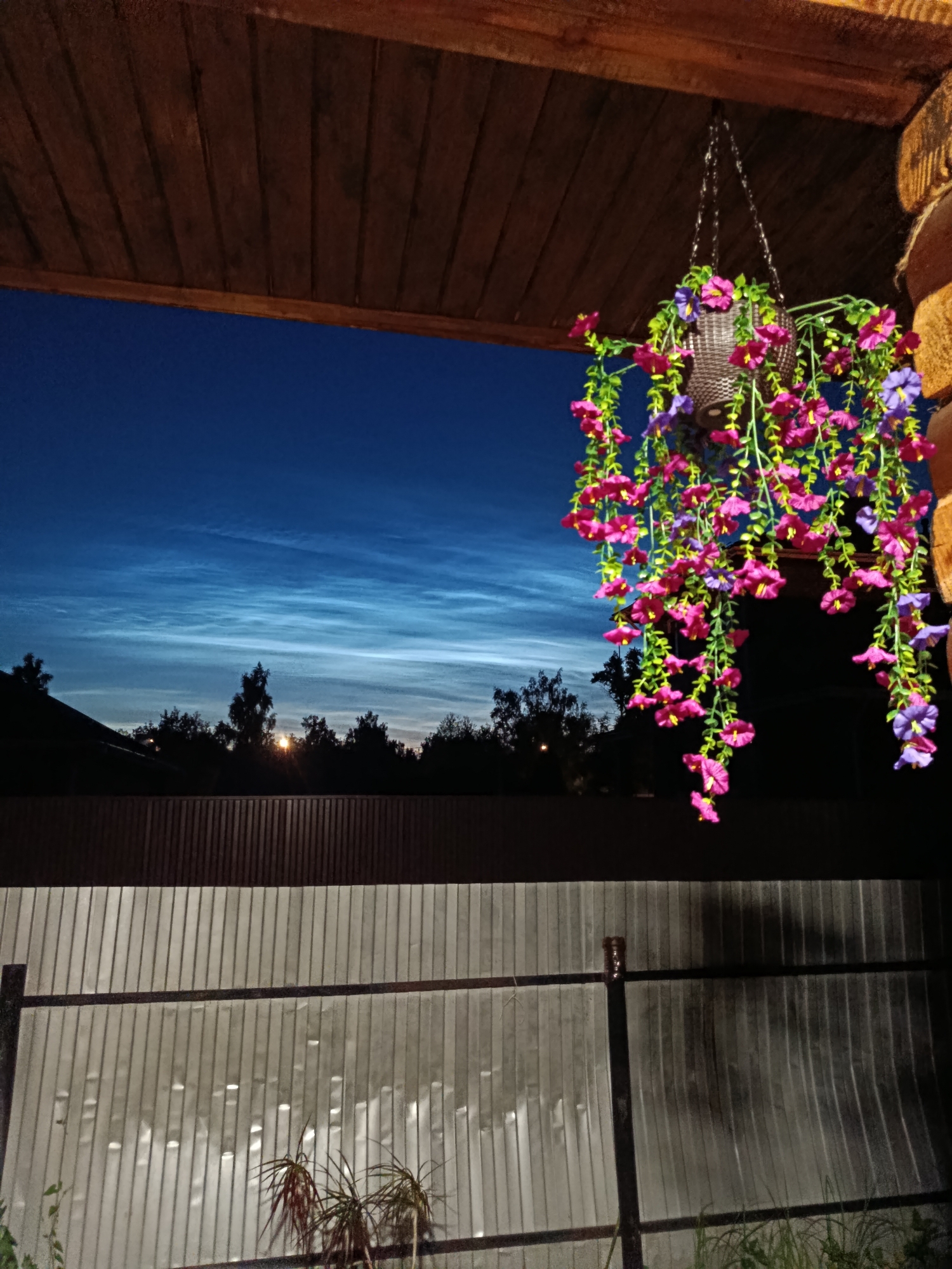 The image depicts a view from a wooden porch at dusk or night in the city of Vereya, Russia. In the foreground, a hanging basket filled with artificial pink and purple flowers is suspended from the wooden porch ceiling. The sky above is a deep blue, streaked with luminous, wispy clouds, possibly noctilucent clouds. Silhouetted against the sky are the tops of trees and the outline of a building, suggesting a suburban or rural setting. Below the sky, a wooden fence is visible, and further down, a corrugated metal fence runs horizontally across the frame, reflecting some light. A dark, shadowy tree or bush is partially visible in the lower right corner. The overall impression is one of a quiet, serene evening scene.