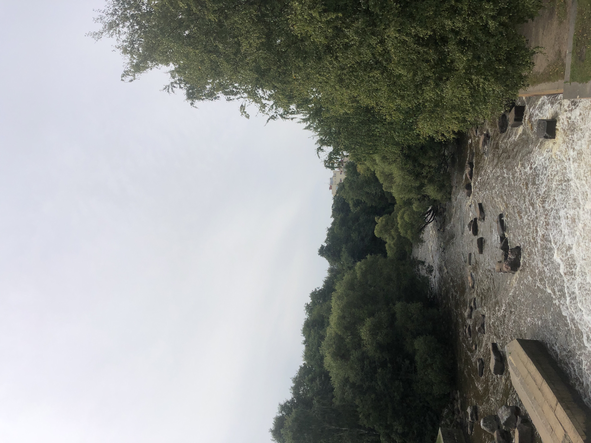 The image shows a view of the Sestra River in Sestroretsk, Russia, on an overcast day. The river flows over a rocky bed, with white foam indicating a slight rapid. On the left bank, a concrete structure, possibly part of a bridge or embankment, is visible. Lush green trees and foliage line both sides of the river. In the distance, a few buildings, including what appears to be a multi-story structure, are visible above the trees, suggesting an urban or suburban setting. The sky is a uniform pale gray, indicating cloudy conditions. There are no people or animals visible in the scene. The overall impression is one of a natural landscape integrated with some urban elements.