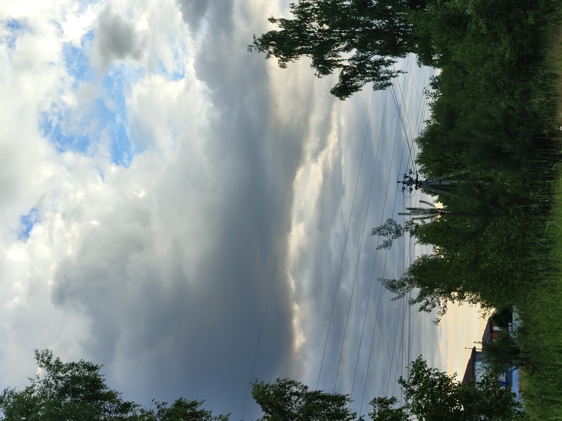 The image depicts a natural landscape with a dramatic sky. In the foreground, there is lush green grass and vegetation. Several trees are visible, with one large birch tree on the right side of the frame prominently displaying its characteristic white bark and drooping branches. Power lines stretch horizontally across the middle of the image, supported by utility poles, one of which is clearly visible on the right. In the background, houses with brown roofs can be seen peeking through the trees. The sky is filled with a mixture of dark, heavy clouds and patches of bright blue sky, suggesting an overcast or stormy weather condition with intermittent sunlight. The overall scene conveys a sense of rural or semi-rural environment.
