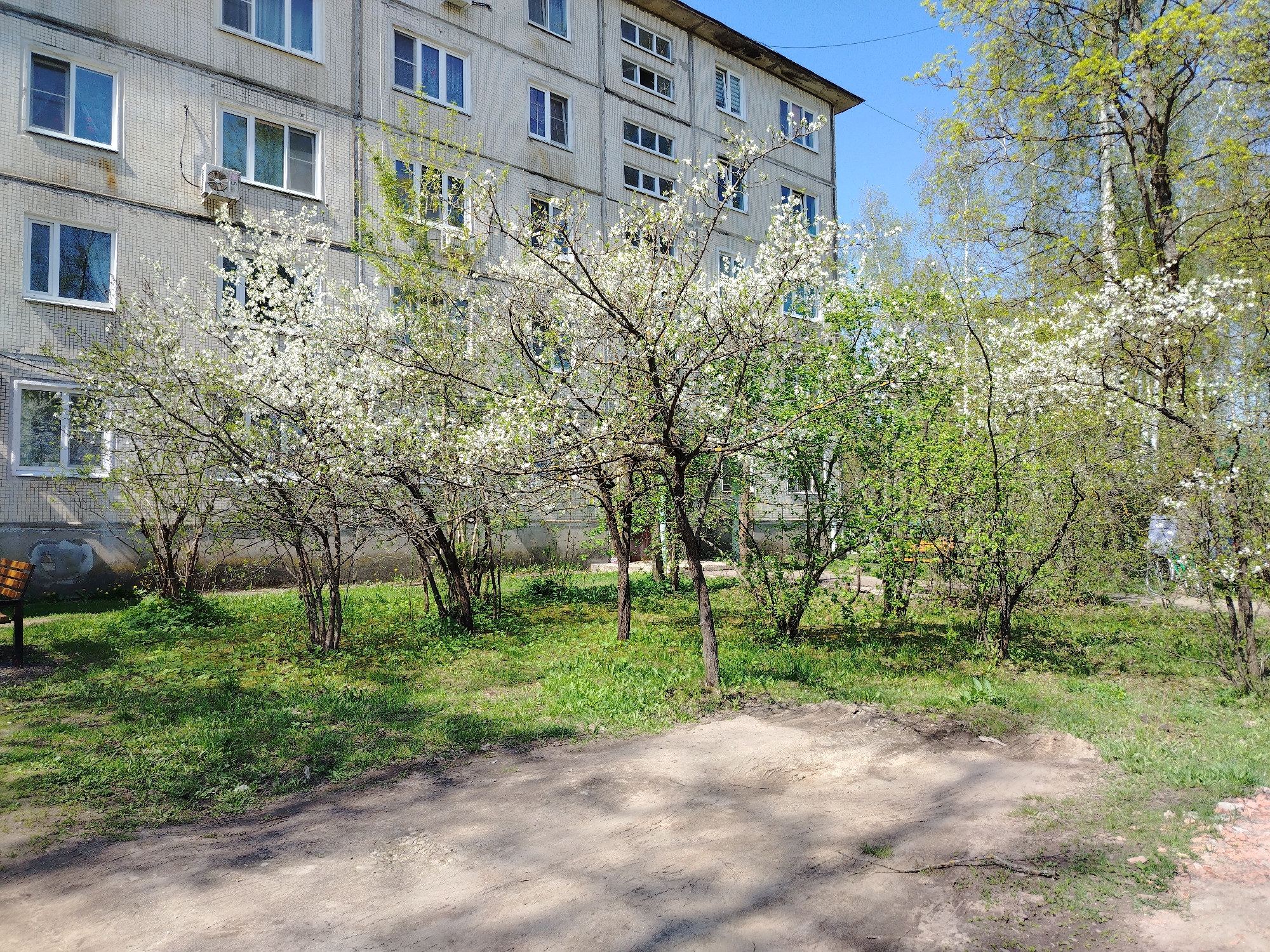 The image shows a five-story apartment building with a row of trees and bushes in front of it. The trees are in bloom, with white flowers covering their branches. The ground is covered in grass and a dirt path runs through the middle of the scene. The sky is blue and clear. There are benches visible in the foreground of the scene. The building is made of gray brick or concrete.