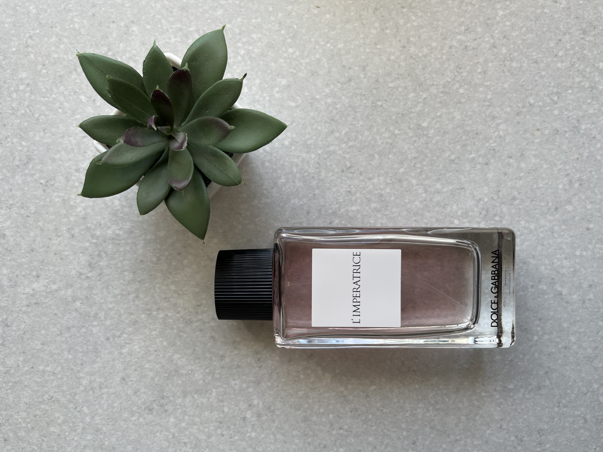 A top-down, eye-level shot showcases a clear glass perfume bottle with a black cap, positioned on a speckled grey surface. The bottle contains a light pink liquid and features a white label with the text "L'IMPÉRATRICE" in black lettering. Below this, the "DOLCE & GABBANA" logo is visible in black text. To the right of the perfume bottle, a small, artificial succulent plant in a white pot adds a touch of green. The background is a neutral, textured grey surface. The scene appears to be set indoors, with no indication of a specific urban location or any people present. There is no information to suggest this image is located in Kohtla-Järve linn, Estonia.