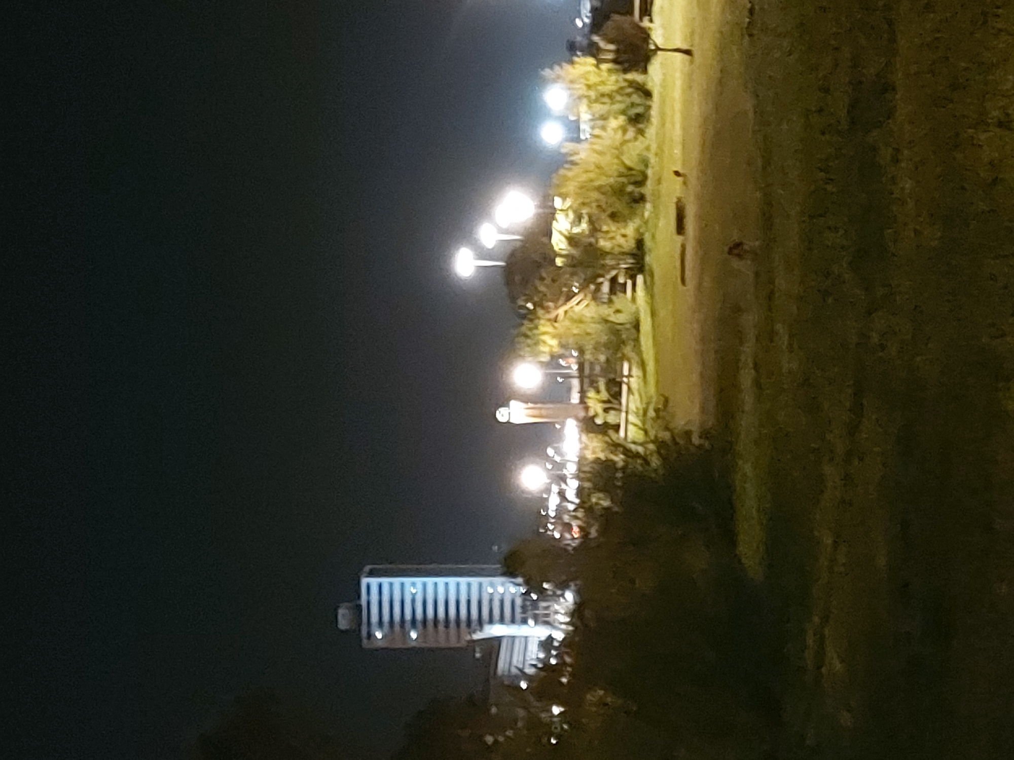 An outdoor scene captured at night shows a park or promenade illuminated by artificial lights, likely in Figueira da Foz, Portugal. The sky is dark and clear, with no stars visible due to the urban lighting. A series of bright street lamps, with distinct circular glows, stretch into the distance along what appears to be a pathway or grassy area on the right side of the frame. These lights illuminate the nearby trees and bushes, casting a warm glow on their foliage.
In the mid-ground and background on the left, a tall, modern building stands against the dark sky. Its vertical windows or architectural elements are brightly lit, creating distinct vertical stripes of light. Other scattered, blurry lights further indicate a city skyline or populated area in the distance. The foreground and the immediate right side of the image show textured, dark green ground, likely grass or low-lying vegetation. There are no discernible people or specific activities visible, suggesting a tranquil nighttime setting. No visible text is present in the image.