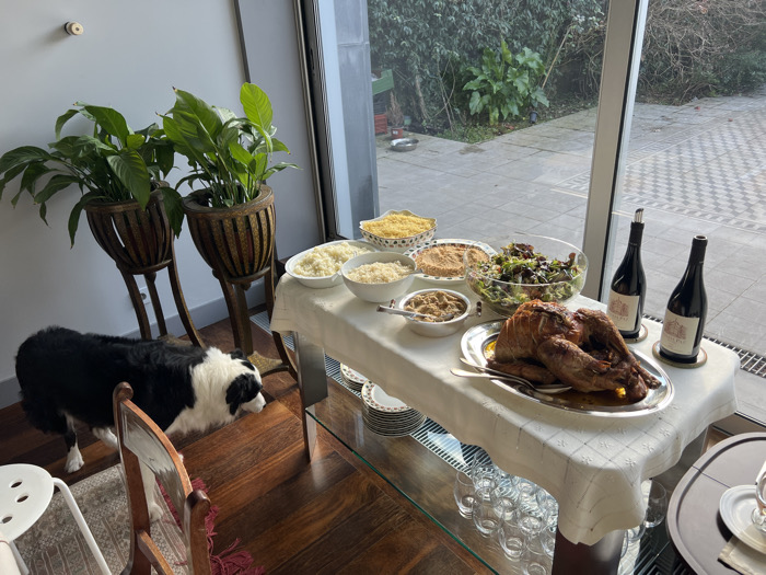 An indoor scene in Porto, Portugal, displays a prepared meal set on a white-draped table next to large glass windows, through which an outdoor patio with checkered tiles and dense green foliage is visible. On the table, a large roasted turkey occupies a silver platter, flanked by two dark-colored wine bottles. Additional food items include bowls containing a yellow granular substance, mashed potatoes or rice, grated cheese, a brown granular substance, and a green salad in a clear glass bowl. Beneath the table, a glass shelf holds a stack of white plates with gold rims and multiple clear stemless glasses. To the left, a black and white Border Collie stands on a polished wooden floor, facing towards the food display, with its head slightly lowered. Two tall, ornate wooden planters, each holding a large green leafy plant, are positioned against a light-colored wall further left. Partial views of a wooden chair with a red upholstered back and a white stool are visible in the foreground.