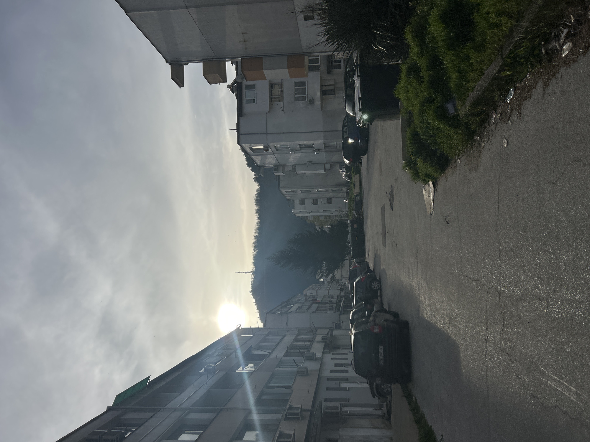 The image, captured in a portrait orientation, presents a residential street scene in Zlatograd, Bulgaria, under a hazy sky. On the far left side, a bright, low-hanging sun is partially obscured by haze or light clouds, suggesting either early morning or late afternoon.
Along the bottom and extending towards the middle-right, several multi-story residential buildings are visible. These structures feature numerous windows and external air conditioning units, displaying a functional, utilitarian architectural style common in Eastern Europe. Some buildings show signs of age, with sections of exposed concrete and varying facade finishes, including hints of yellow/orange panels on one building in the upper middle-right.
A paved road or street occupies the right side of the image, where several cars are parked. The edge of the road is lined with green bushes and grass, appearing somewhat unkempt in places. A partial license plate on one of the parked cars reads "CH 1467 MH," consistent with Bulgarian vehicle registration.
In the mid-left and central portions of the frame, a large, dark, and densely tree-covered mountain rises, forming a natural backdrop to the urban environment. A faint antenna or tower can be glimpsed atop the distant mountain. The scene is static and quiet, portraying an ordinary moment in a lived-in neighborhood, with no people visible or immediate activity. The architectural details and lighting firmly align with the provided location context.