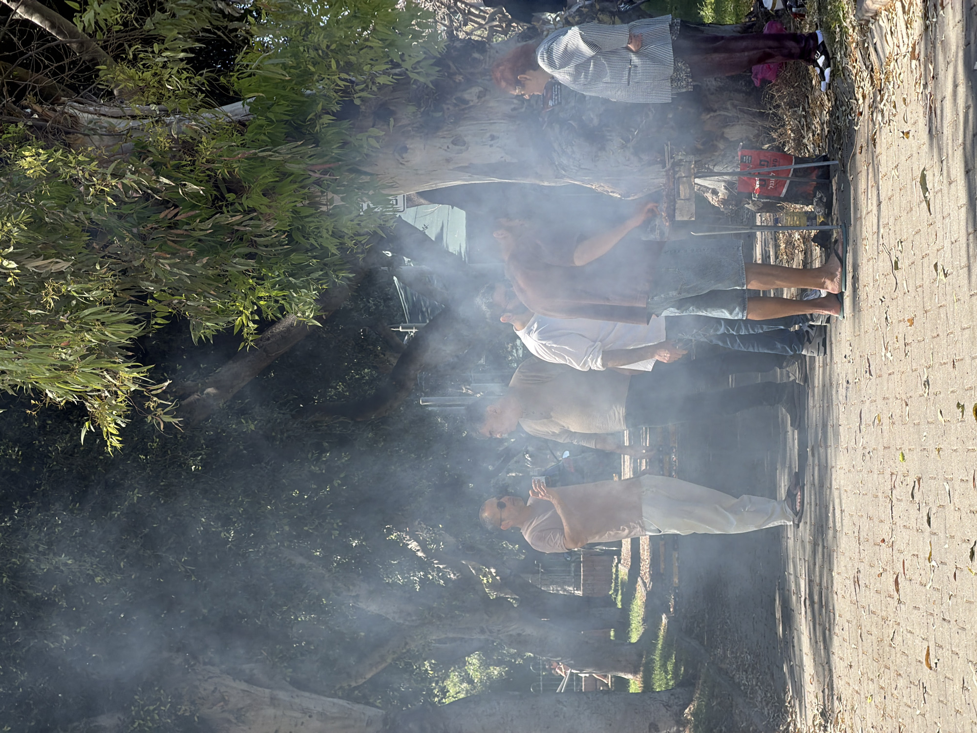 The scene depicts a group of people gathered around a barbecue grill in an outdoor setting. It appears to be a casual gathering, potentially a neighborhood event or party, given the presence of several individuals and the barbecue setup. The environment suggests a park or a similar green space with trees providing shade and a paved walkway alongside. The heavy smoke from the grill obscures the details of the people and the surrounding environment, but the presence of a grill and people implies a social gathering centered around food preparation. The location is Tel-Aviv, Israel.