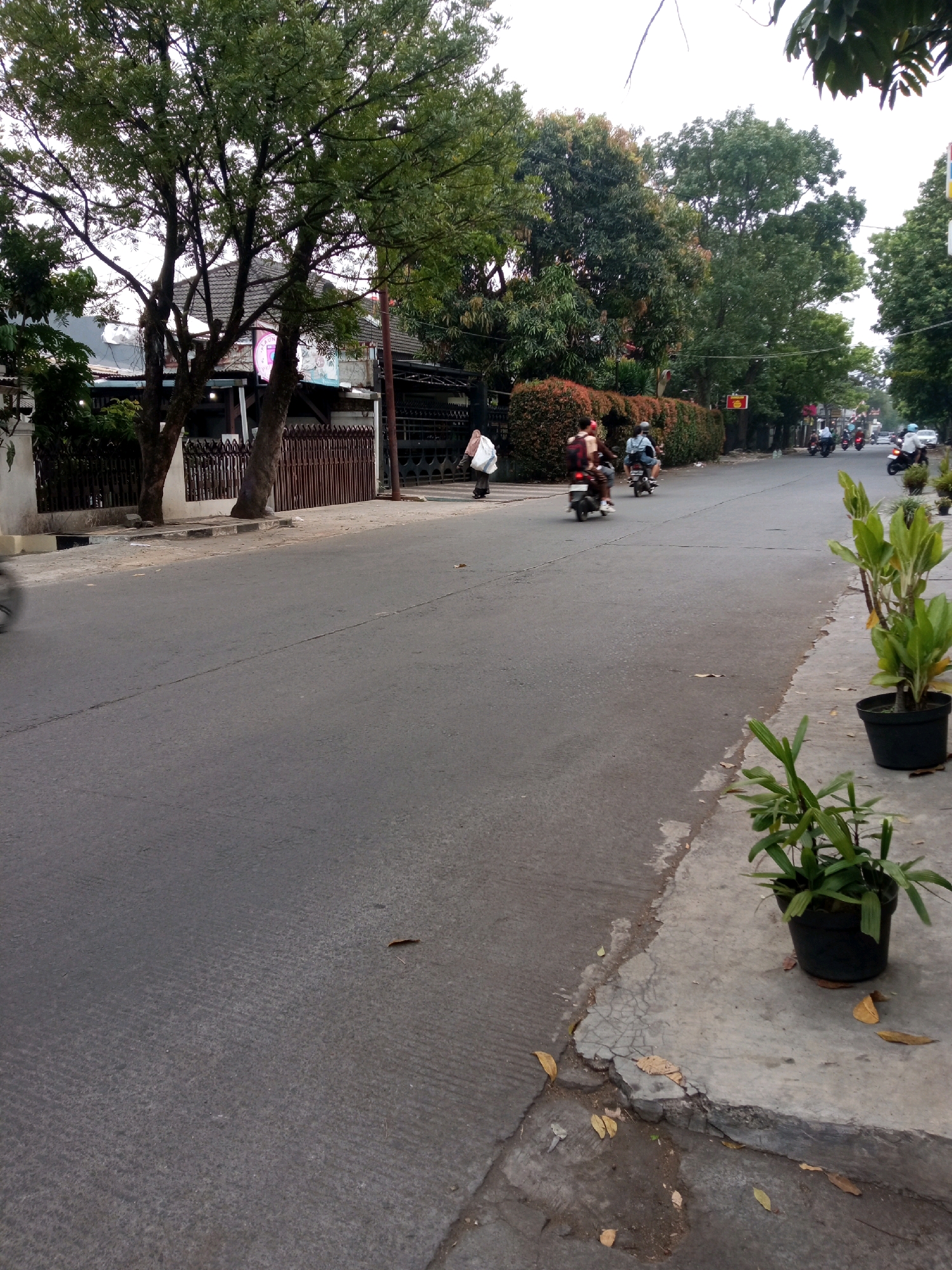 An outdoor, eye-level, medium shot shows a street scene in Bandung, Indonesia. The asphalt road takes up the majority of the frame. On the right side of the road, a concrete sidewalk is visible, with potted plants lining it. The plants are green and healthy, with long, slender leaves. One potted plant in the foreground is a deep black pot, while another in the background is a dark green pot. Fallen leaves are scattered on the sidewalk and the road.
On the left side of the road, a row of trees with lush green foliage stands tall. Behind the trees, a house with a dark-colored roof and white walls is partially visible, along with a brown wooden fence. A pink sign is attached to one of the trees.
Several people on motorcycles are seen on the road. In the foreground on the left, a blurry motorcycle is seen moving away from the camera. Further down the road, a person on a motorcycle is wearing a dark shirt and carrying a white bag over their shoulder. Another person on a motorcycle is wearing a light blue shirt and dark pants. In the background, more motorcycles and a white car are visible, as well as more trees and buildings. The sky is overcast, with a bright white hue. The overall impression is that of a quiet street on a cloudy day.