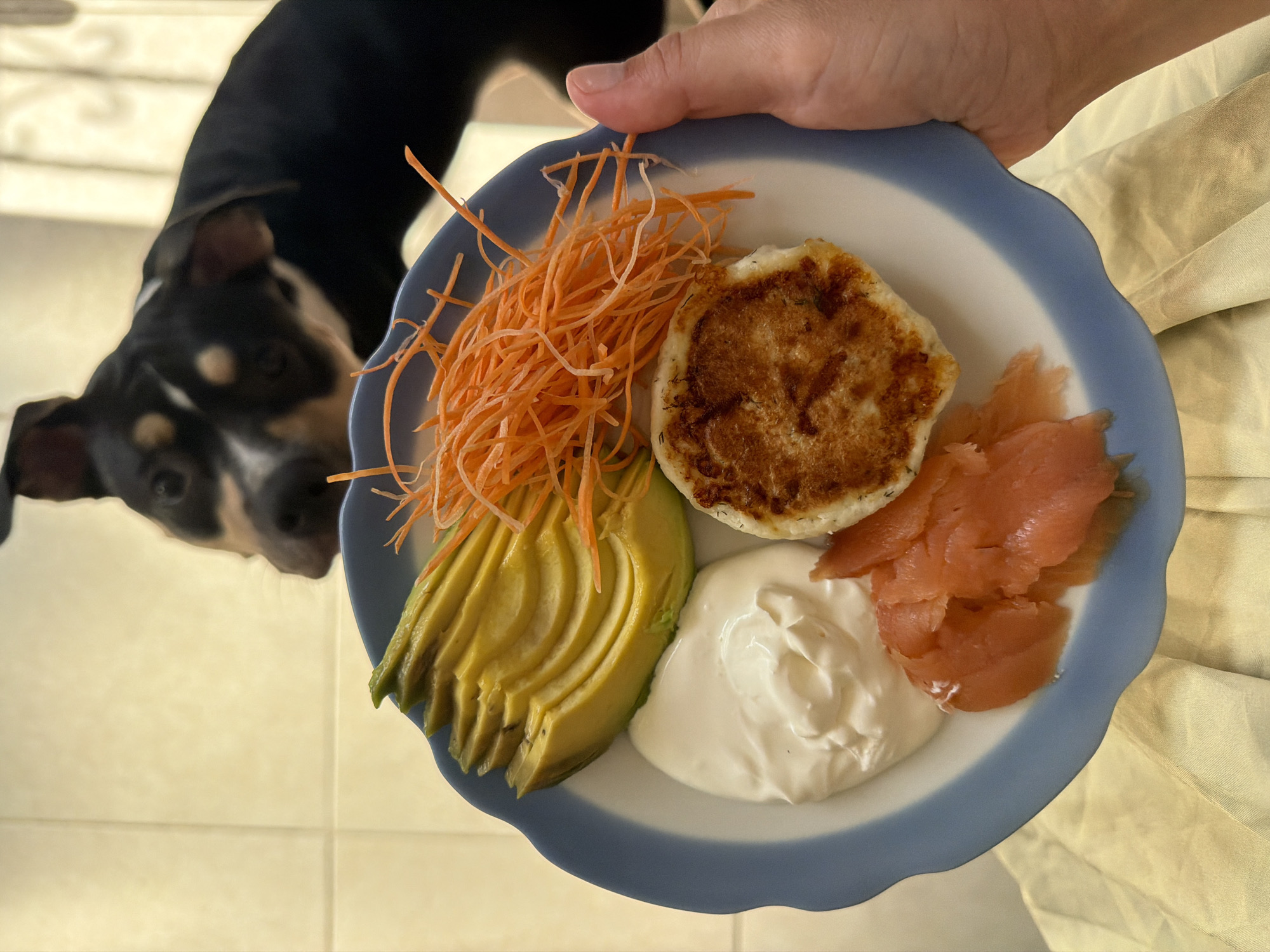 A close-up shot shows a person holding a plate of food with a dog in the background. The plate contains sliced avocado, shredded carrots, a dollop of sour cream or yogurt, smoked salmon, and a small, golden-brown pancake or fritter. The plate has a blue and white rim. The dog, a black and tan pit bull mix, is looking towards the plate from a blurred background that appears to be indoors, possibly a kitchen or dining area, with tiled walls. The overall lighting suggests an indoor setting. The specific location in Tel Aviv, Israel, cannot be determined from the visual information provided.