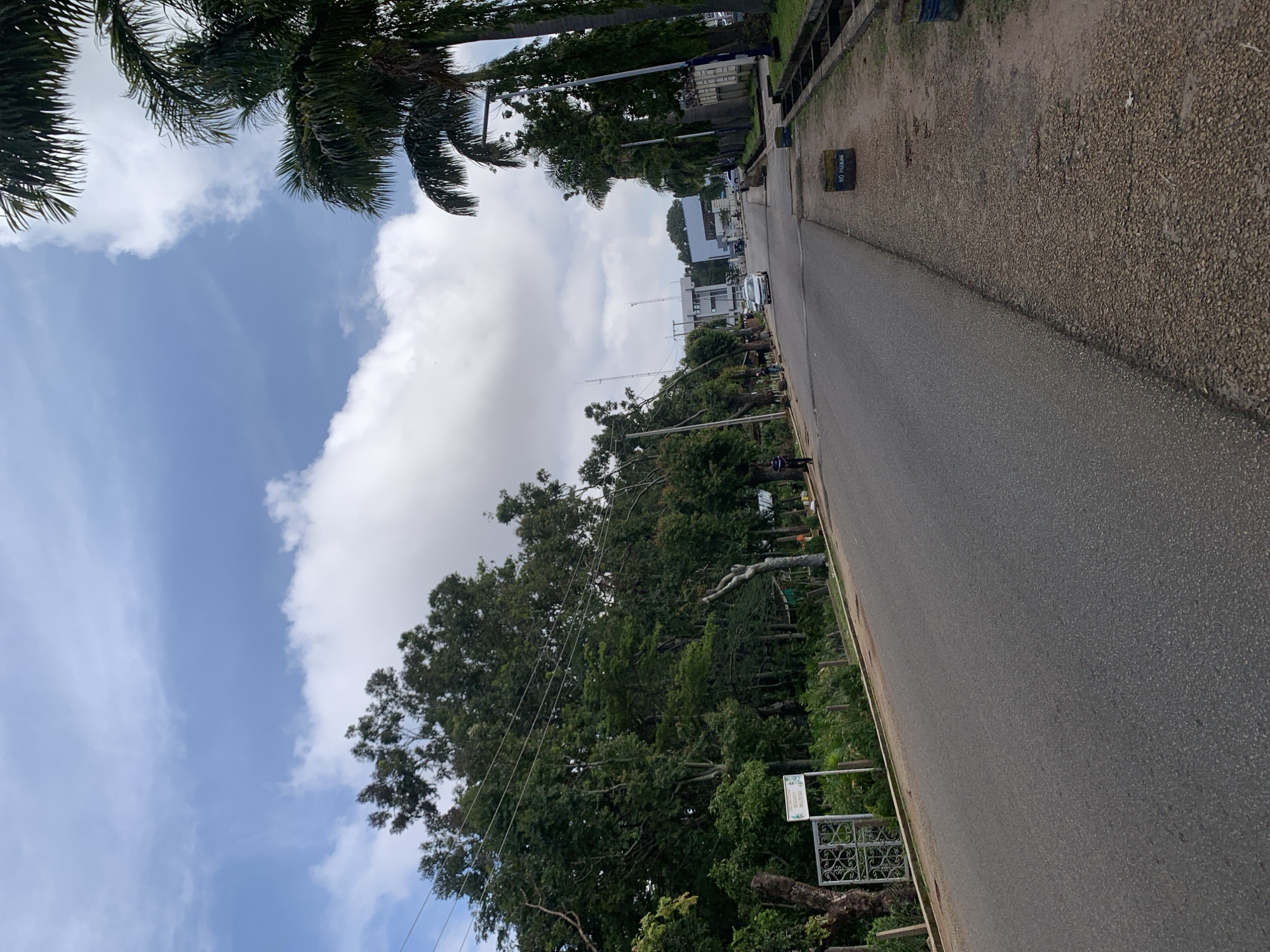 The image depicts a street scene in Jos, Nigeria, with a paved road running through a vegetated area. Lush green trees line both sides of the road, with tall palm trees on the right. The sky is partly cloudy, with large white cumulus clouds against a blue background. A white sedan is driving down the road, and two pedestrians are visible on the left side of the street. A "NO PARKING" sign is placed on the sidewalk on the right. The overall impression is one of a moderately urban environment with significant greenery.
