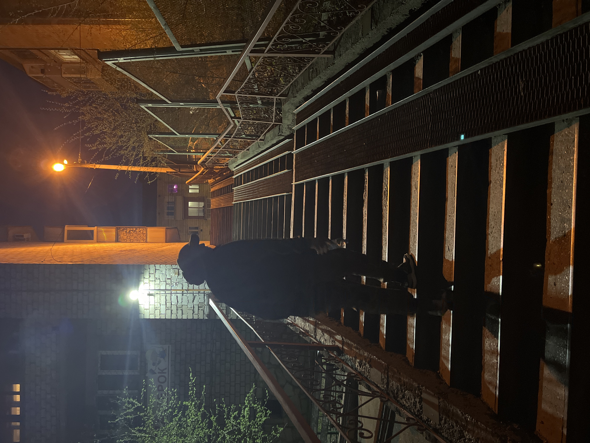 A nighttime shot, rotated for viewing ease, reveals a city street scene. A man stands on a staircase, dressed in dark clothing with his back to the viewer. He is positioned between the staircase's railing and steps. The staircase itself is constructed of concrete and metal, exhibiting a symmetrical pattern.
To the left of the staircase, a brick building is illuminated by a street light, casting a bright glow and shadows. Vegetation is also visible near the building. Another street light can be seen in the distance, casting an orange glow, along with buildings further down the street. Overhead, ornate metalwork forms a canopy over the staircase.
