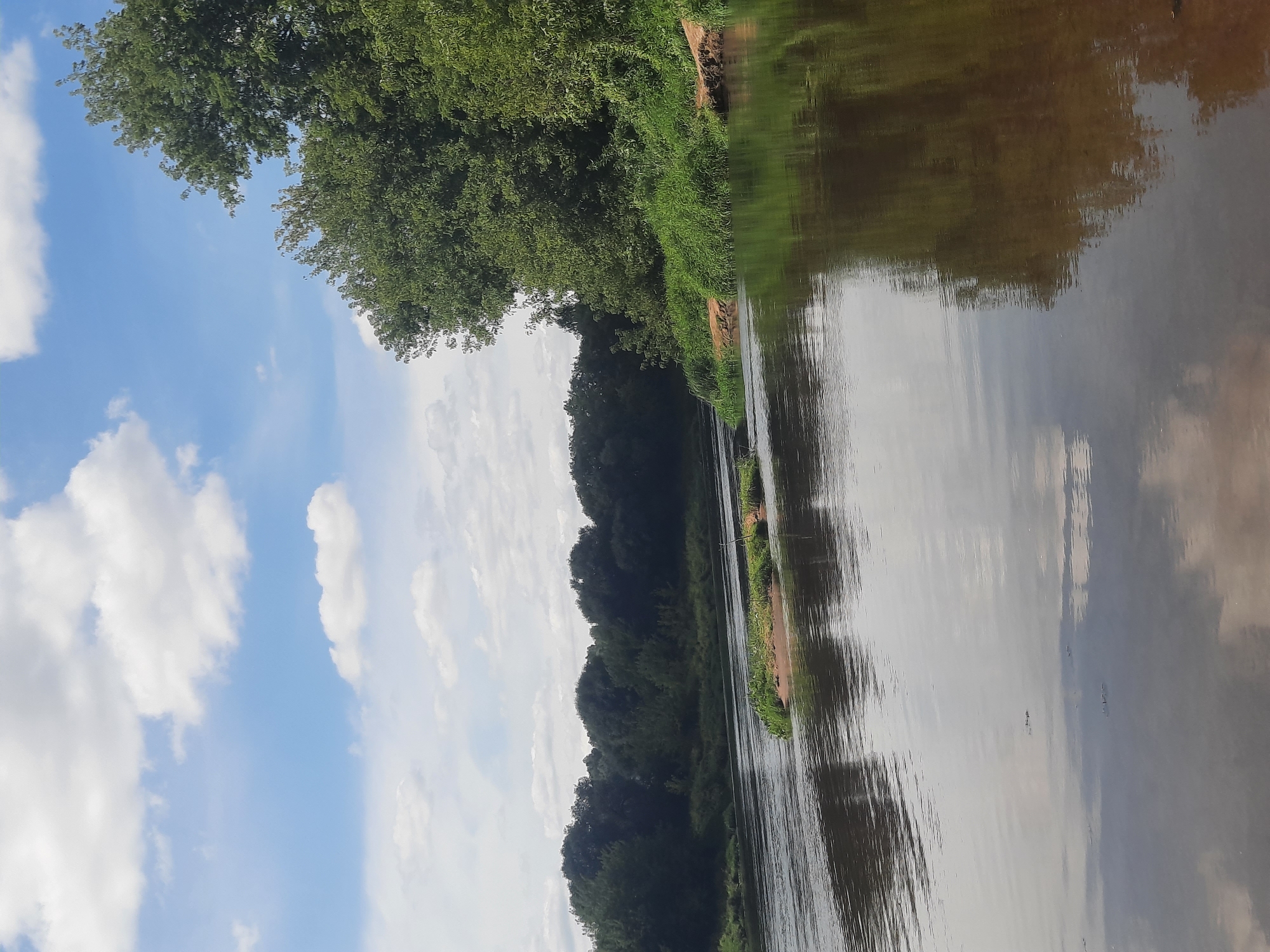An outdoor landscape photograph shows a calm river flowing through a wooded area under a partly cloudy sky. The river occupies the majority of the foreground, with its surface reflecting the sky and surrounding trees. On the left side of the river, a dense line of green trees forms the background. On the right side, the riverbank is covered with lush green grass and several trees. A small, sandy island with some vegetation is visible in the middle of the river. The sky above is a clear blue with scattered white clouds. The scene depicts a natural, serene environment.