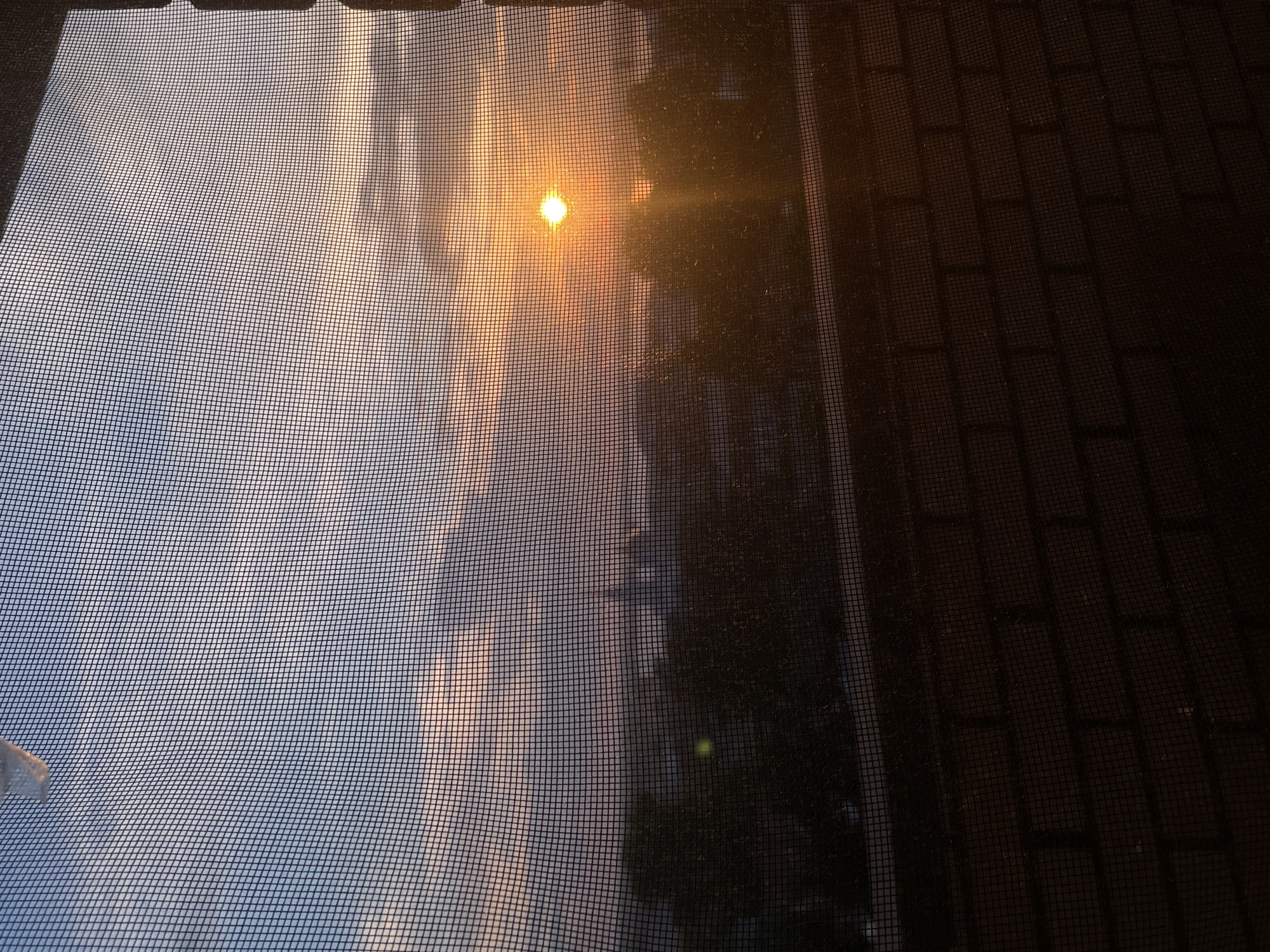The image captures a sunset viewed through a window screen, with a brick ledge in the foreground. The sky is a blend of blues, purples, and oranges as the sun, a bright orb, shines through the screen, casting rays of light. Silhouetted trees and buildings are visible in the distance, suggesting an urban or suburban setting. The screen mesh creates a grid pattern over the entire scene. The brick ledge, composed of dark red bricks, occupies the lower portion of the frame. No people or specific actions are depicted. The scene is likely a residential view. The location is not specified within the image itself and therefore cannot be determined to be Votkinsk, Russia, or any other specific city.