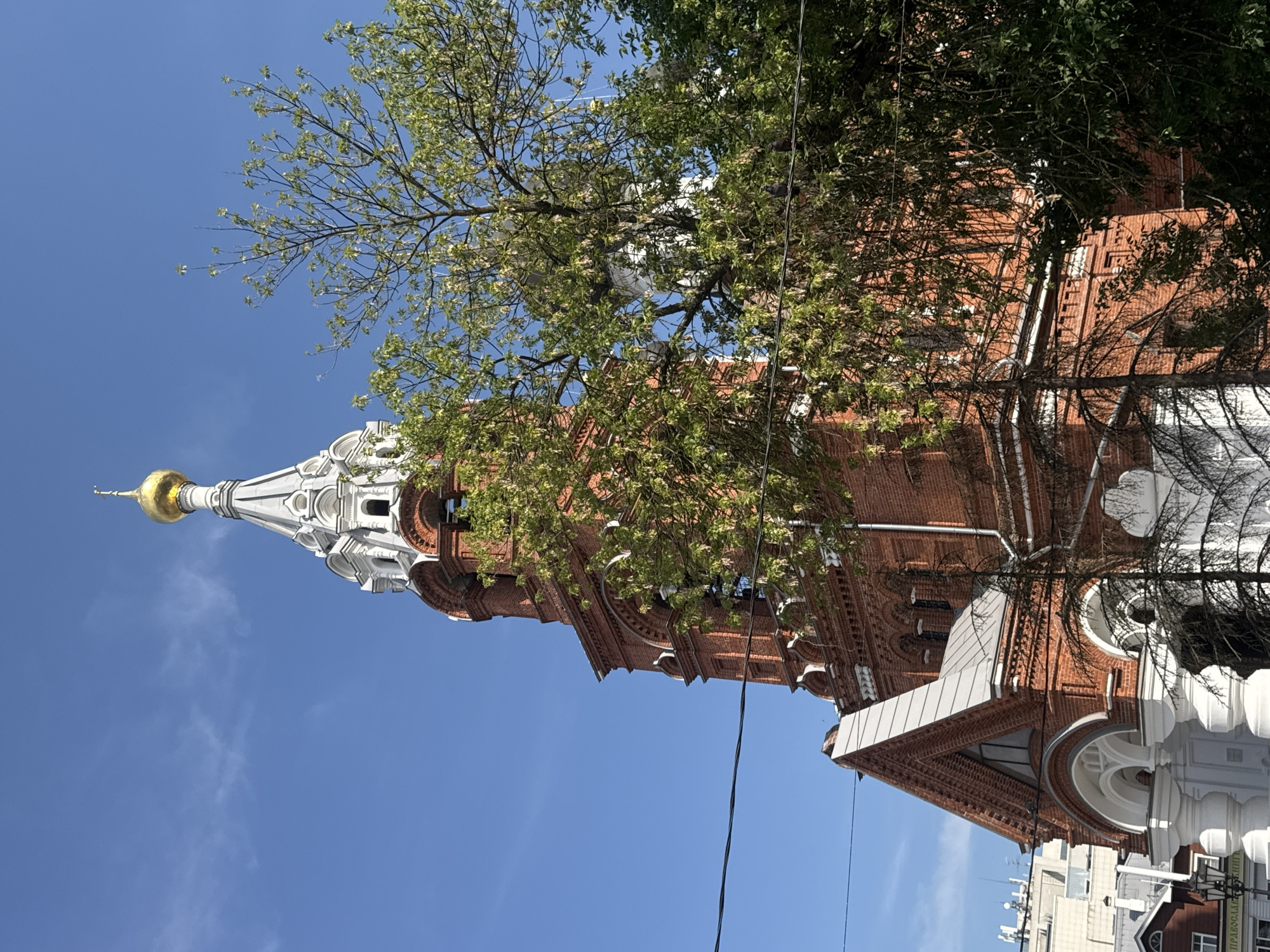 The image depicts the bell tower of the Ascension Cathedral, located in Nizhny Novgorod, Russia. The cathedral is constructed of red brick and features a tall, multi-tiered bell tower topped with a golden dome and cross. A white, ornate structure with arched entrances is visible at the base of the bell tower. Lush green trees with delicate leaves partially obscure the view of the cathedral, with their branches reaching across the frame. Power lines are strung across the lower portion of the image. The sky is a clear, bright blue with a few wispy white clouds. In the background, several other buildings are visible, suggesting an urban setting.