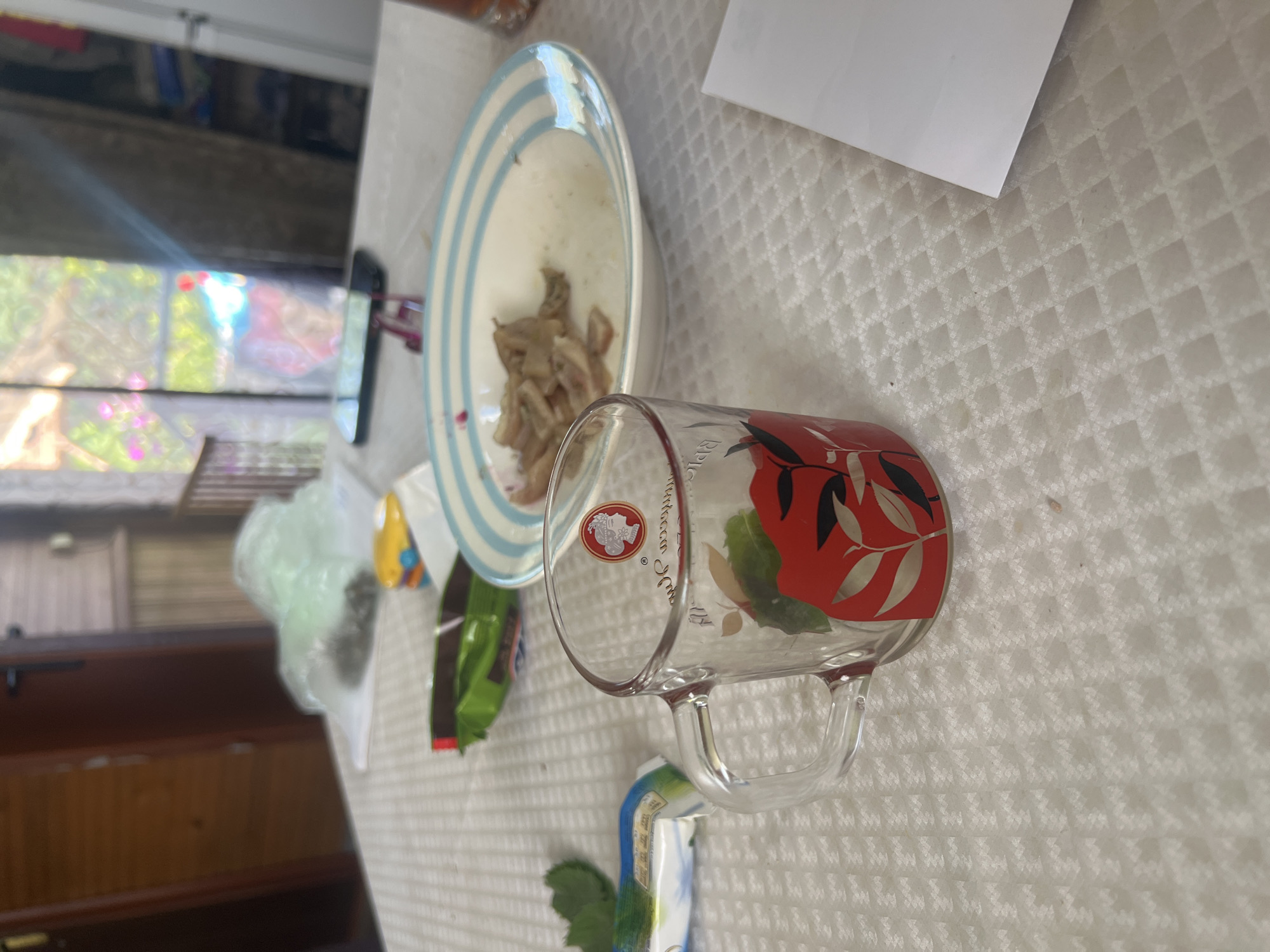 The image depicts a close-up view of a table setting, possibly in a casual dining environment. The table is covered with a white, textured tablecloth. In the foreground, a clear glass mug with a red floral design is placed prominently. To the right of the mug, a white plate with blue stripes contains a small portion of food, appearing to be thinly sliced meat or vegetables. In the background, a green snack packet and a blue and white wrapped item are visible. Further back, a cell phone lies on a surface, and beyond that, a doorway or window reveals a glimpse of an outdoor scene with greenery. The overall impression is of a meal or snack in progress. The location in Роса Снт, Russia, is not discernible from the visual information provided in the image.
