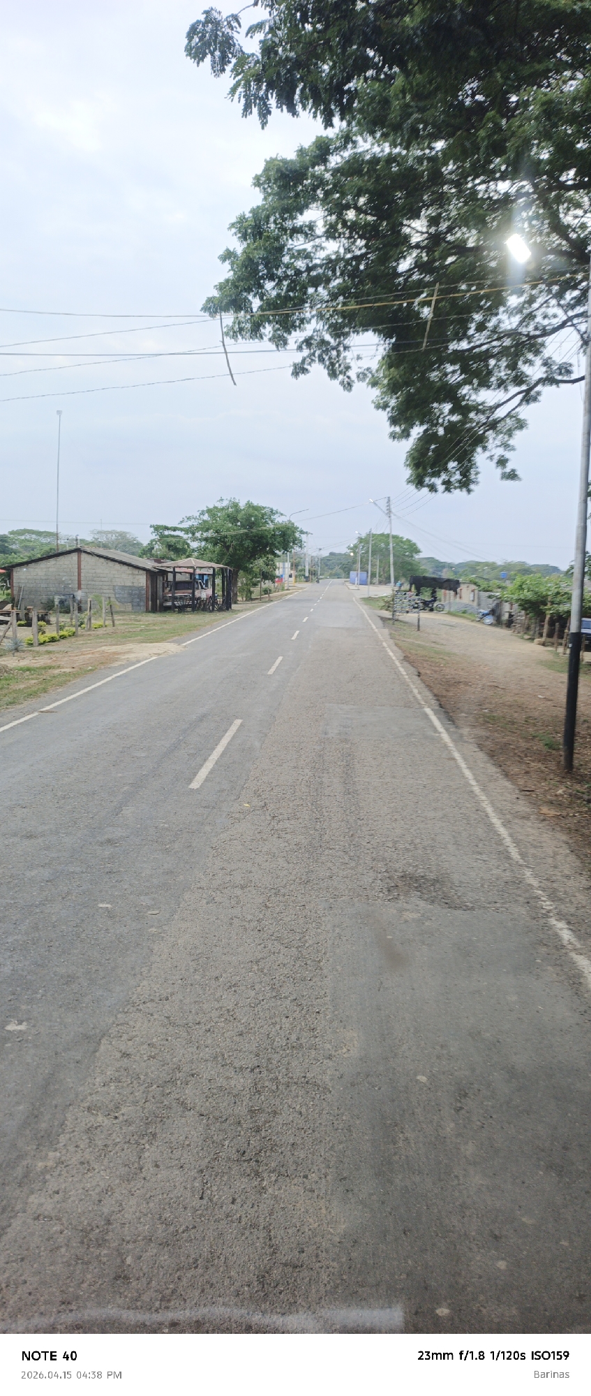 The image captures a long, straight road in Barinas, Venezuela. The asphalt road, displaying wear and tear with patches and potholes, is lined on both sides with sparse vegetation and sporadic buildings. Overhead, a canopy of trees partially obscures the sky, filtering sunlight. Power lines stretch across the scene. No people or vehicles are immediately visible on the road. The weather appears overcast, creating soft lighting.
