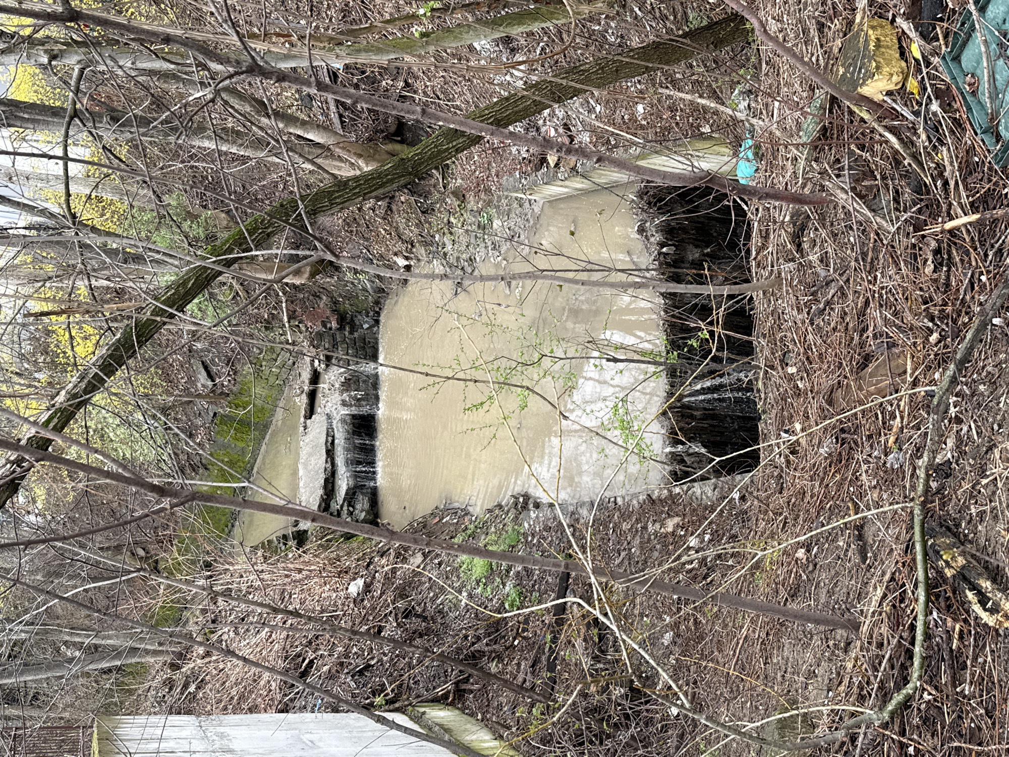 The image shows a water channel or small stream in an unkempt, overgrown area, possibly in Sofia, Bulgaria. The water appears murky and light brown. The channel is surrounded by dense, dry brush, bare tree branches, and some green vegetation. A man-made structure with a rectangular opening is visible within the channel, suggesting it is part of a drainage or water control system. There is trash and debris visible along the edges of the channel.