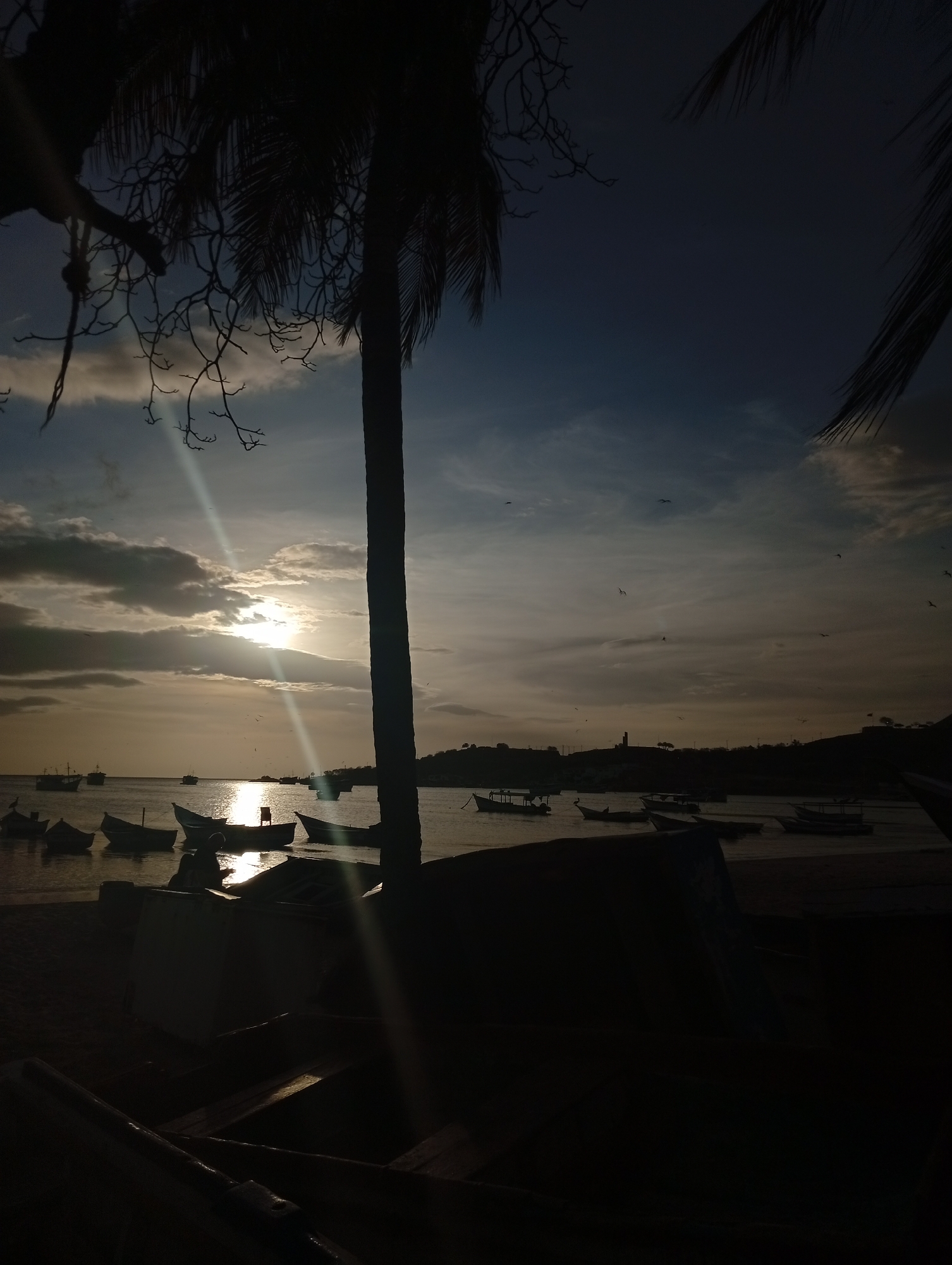 The image depicts a serene coastal scene at dusk, characterized by a silhouetted palm tree in the foreground. The sun, partially obscured by clouds, casts a warm glow on the water, reflecting its golden rays. Several small boats are moored in the calm sea, appearing as dark shapes against the illuminated surface. The shoreline is dotted with more boats, some resting on the sand, while others are partially covered by tarps. The sky transitions from a bright, hazy blue near the horizon to a deeper, darker hue overhead, with wispy clouds adding texture. A distant landmass, outlined by the fading light, features a faint structure resembling a lighthouse or tower. The overall atmosphere is tranquil and peaceful, evoking a sense of a quiet evening by the sea.