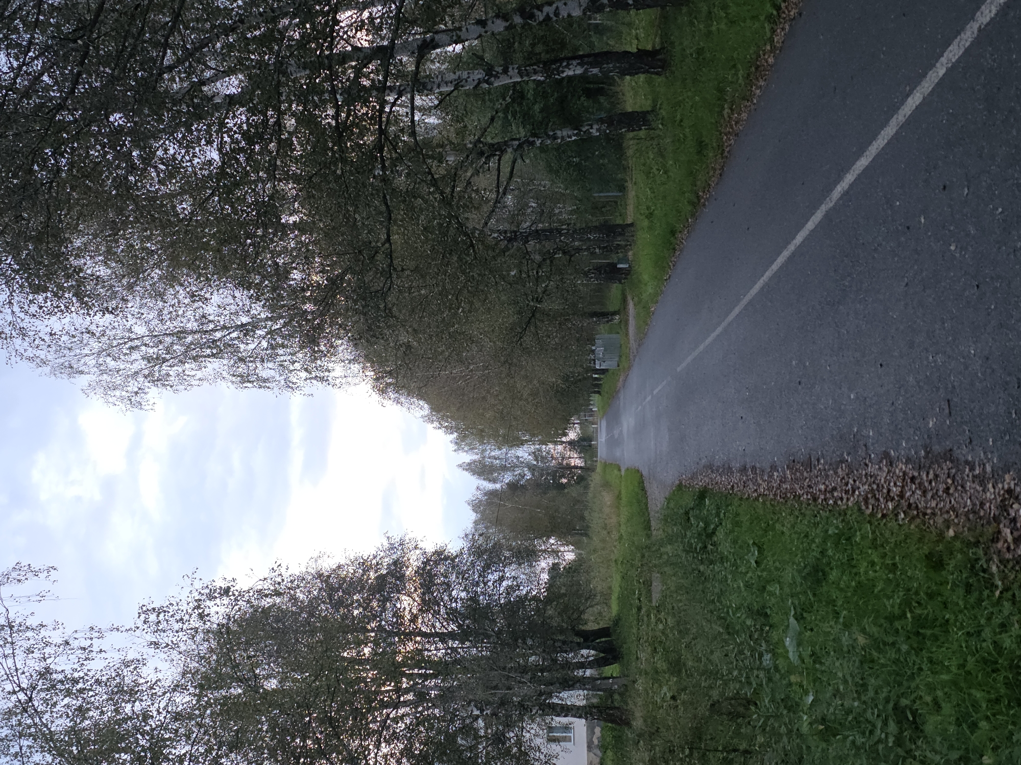The image depicts a paved road lined with birch trees on both sides. The road appears to be a path or a secondary road within a park or a suburban area. On the left side of the road, there is a white building with a few windows, suggesting it could be a residential building or a small facility. The ground beside the road is covered with green grass and fallen autumn leaves. The sky is partly cloudy, with a light blue hue. The scene appears to be set in the city of Magnitka, Russia, likely during the autumn season, given the foliage. There are no people or animals visible in the image, and no discernable action is taking place. The overall impression is of a quiet, somewhat overcast day in a natural or semi-natural setting.
