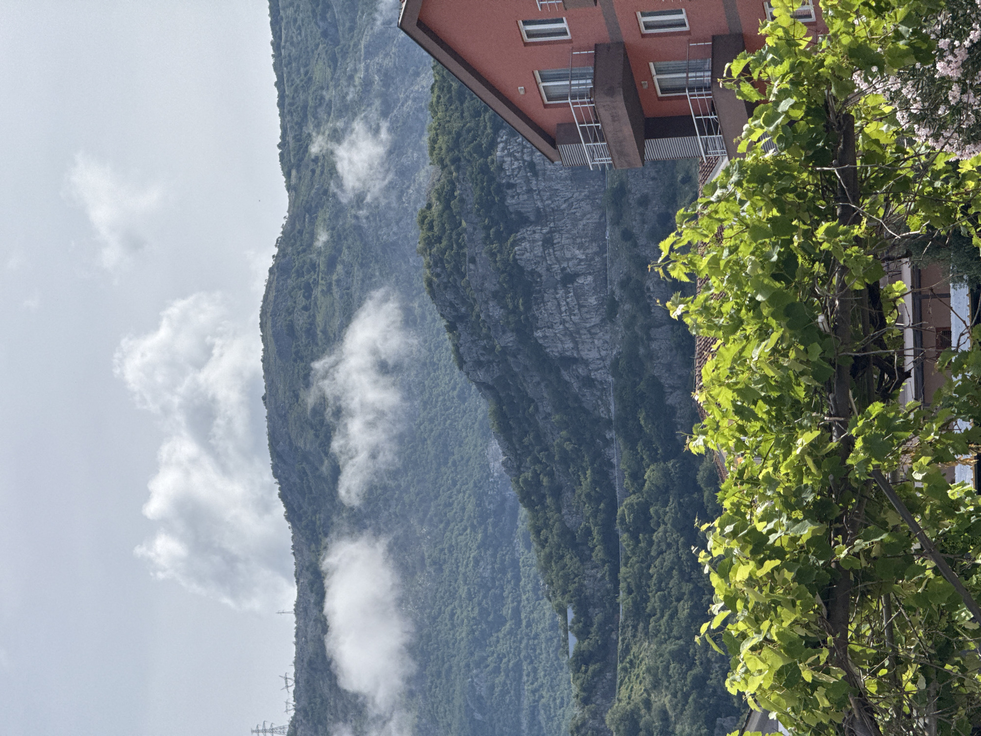 This landscape photograph captures a dramatic scene featuring steep, lush mountains under a cloudy sky, with a building and vibrant foliage in the foreground.
In the background, a majestic mountain range dominates the view, its slopes densely covered in rich green vegetation and trees. Patches of rocky cliffs are visible between the forested areas. Wisps of white and grey clouds or mist cling to the mountain peaks and drift along the mid-slopes, partially obscuring the terrain and adding a sense of atmosphere. A winding road or path can be faintly discerned cutting across one of the distant mountain faces. To the far left, in the distance, a few power lines or transmission towers are barely visible against the light sky, emerging from behind the mountain contour.
The sky above the mountains is overcast, filled with soft grey and white clouds, suggesting a cloudy day.
In the mid-ground, on the right side of the image, stands a multi-story building. It features a distinctive reddish-orange facade complemented by dark brown architectural details, including what appear to be balconies or overhangs. Several rectangular windows with white frames are visible.
The foreground, primarily on the right, is filled with bright, vibrant green foliage from a tree or vine, with individual leaves sharply defined. Behind this lush greenery, a flowering shrub with small, delicate pinkish-white blossoms can be partially seen.
The scene depicts a daytime setting, likely under an overcast sky, with softer light illuminating the foreground elements. The combination of steep, vegetated mountains and the specific architectural style is characteristic of mountainous regions, aligning with the provided context of Budva, Montenegro. There is no human activity or visible text in the image.