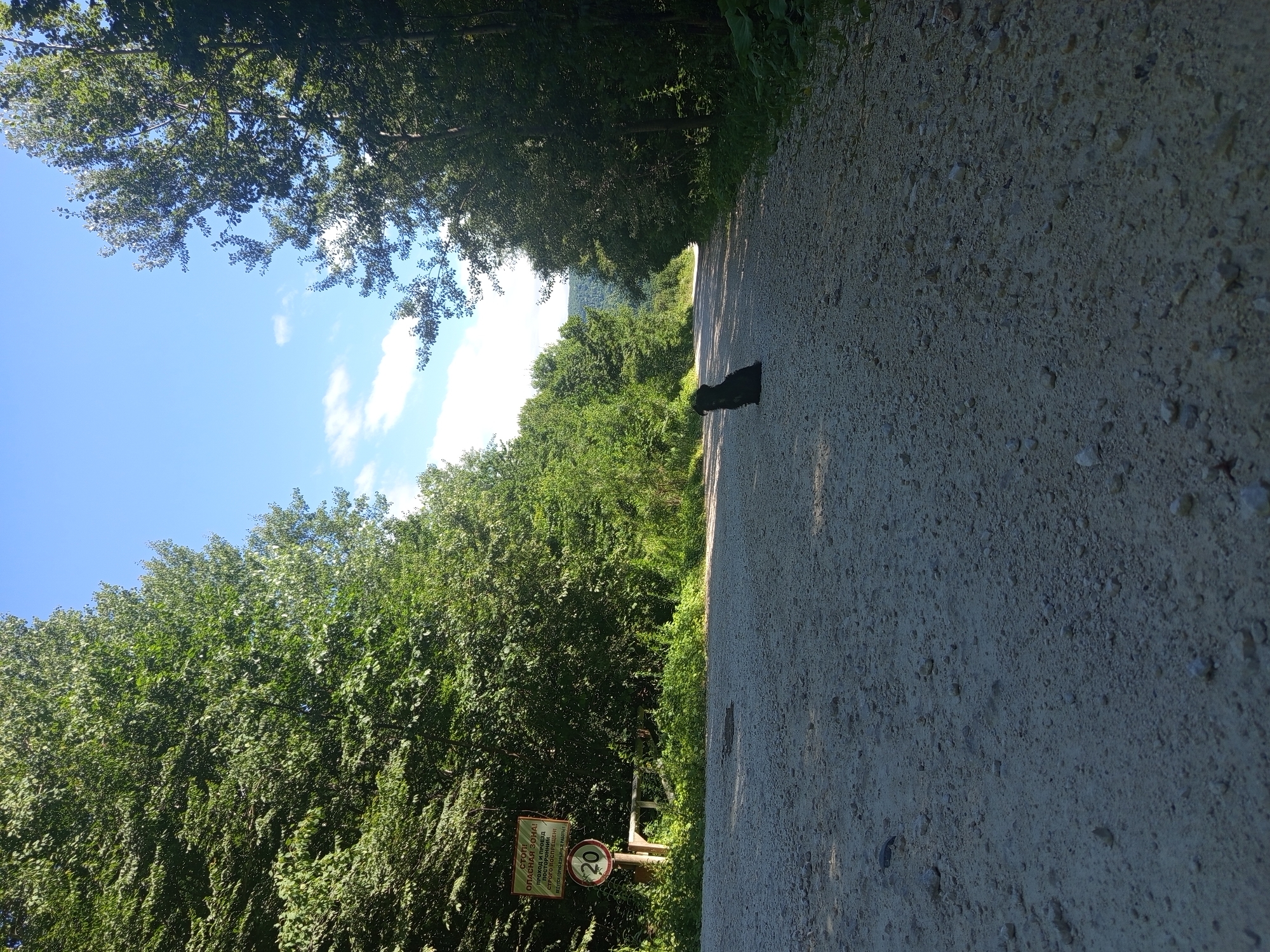 A low-angle, eye-level shot captures a dirt road winding through a lush, green forest. The road, composed of light-colored gravel and dirt, dominates the foreground and stretches into the distance, narrowing as it curves to the right. Dense trees, their leaves a vibrant green, line both sides of the road, creating a natural tunnel effect. Sunlight filters through the canopy, dappling the road with shadows. In the middle ground, slightly to the right of the center, a small, black dog is seated on the road, facing away from the camera. To the left, near the edge of the road, a wooden post supports two signs. The upper sign is a warning sign with text, partially obscured by shadows, and below it, a circular sign with a red border and the number "20" in black, indicating a speed limit. The sky above is a clear, bright blue with a few scattered white clouds. In the far distance, rolling green hills are visible through a gap in the trees. The scene appears to be in a rural or natural setting, likely in the outskirts or a park area. No specific landmarks or elements that would definitively place the location in Giaginskaya, Russia are present.