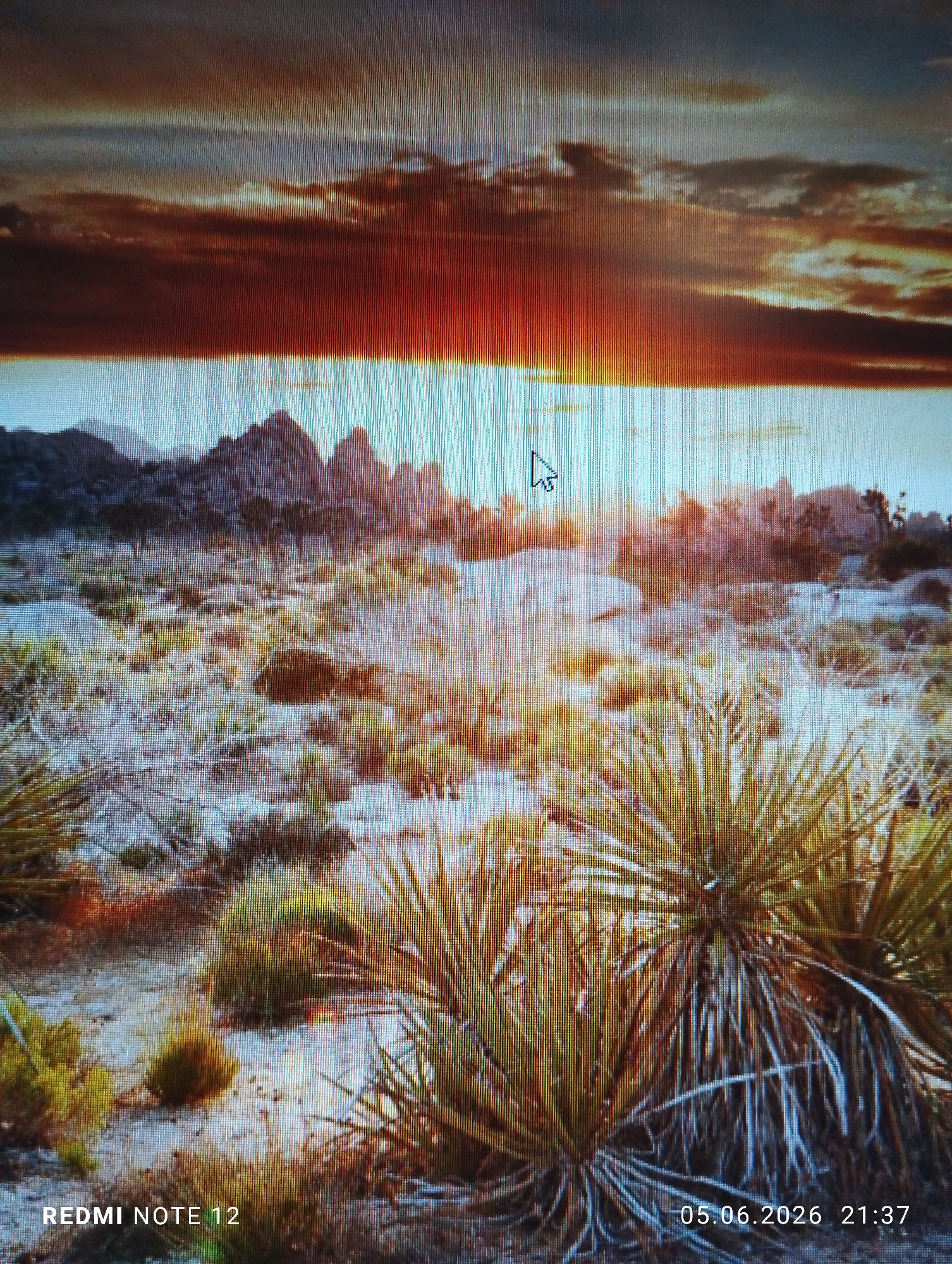 The photograph, captured in the city of Burgas, Bulgaria, displays a digital screen showing a desert landscape during either sunrise or sunset. The scene on the screen features a foreground and midground composed of dry, light-colored terrain with sparse, spiky desert vegetation, including prominent Yucca-like plants. In the background, dark, craggy mountains or rock formations are silhouetted against the horizon. The sky is marked by a dramatic transition, with an intense, bright horizontal band of light at the horizon, indicative of the sun's position, leading upwards into warm reddish-orange and brown clouds, which then fade into lighter blue-grey tones in the upper sky. Vertical scan lines are visible across the entire image, characteristic of a photograph taken of a digital display. A white mouse cursor, shaped as an arrow pointing left and upwards, is present in the upper-middle portion of the displayed screen. White text overlays are visible in the bottom corners: "REDMI NOTE 12" appears on the left, and "05.06.2026 21:37" appears on the right. No people or active interactions are depicted within the landscape itself.