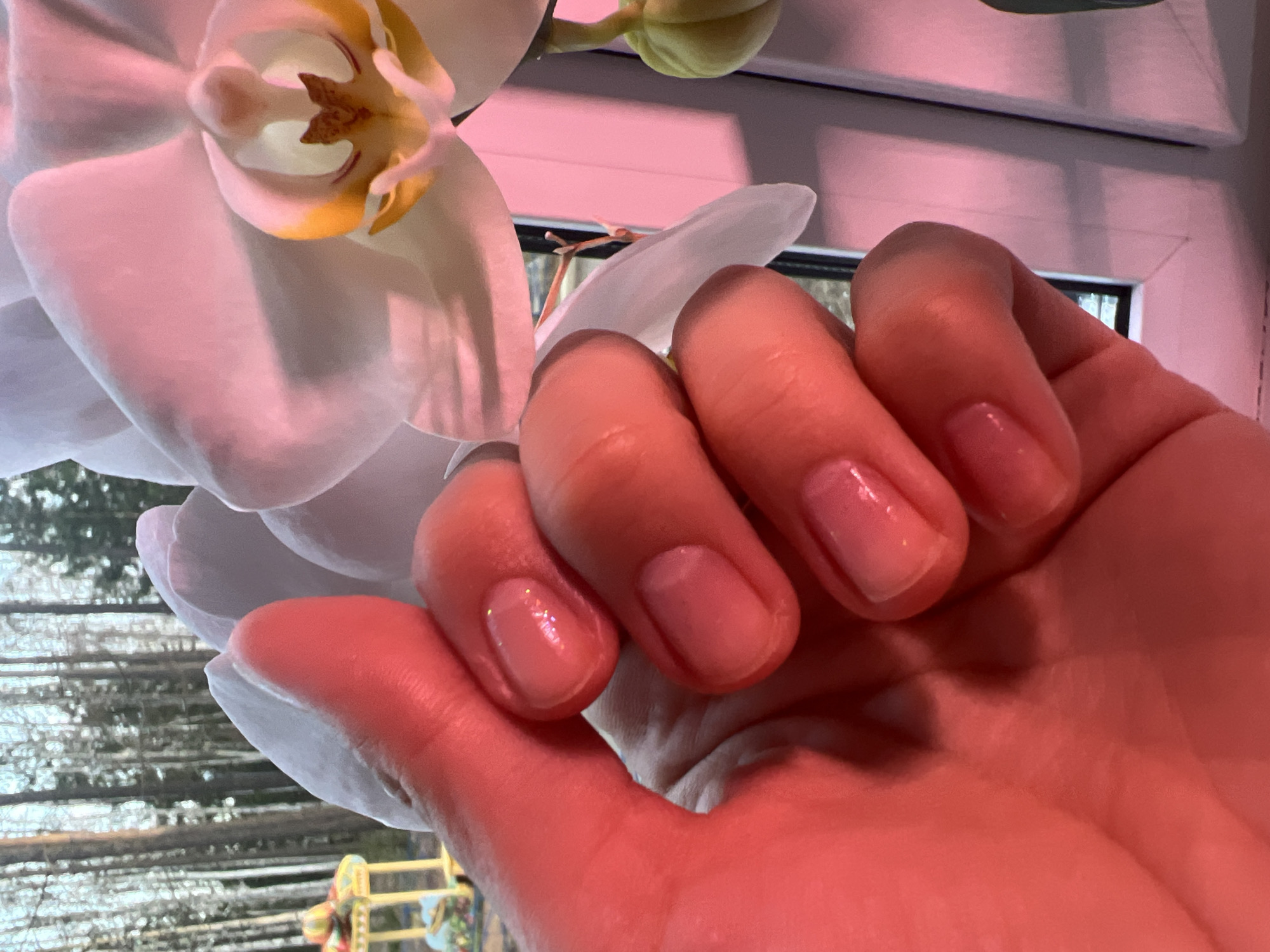 A close-up image features a person's hand partially obscuring a white orchid bloom with yellow and brown accents. The fingernails appear to be painted with a clear or light pink polish, some with a subtle glitter effect. A window is visible in the background, showing trees outside. The scene is lit with a pinkish hue, casting the hand and flower in a warmer tone. There is no clear information to determine the location is Ust-Ilimsk, Russia.