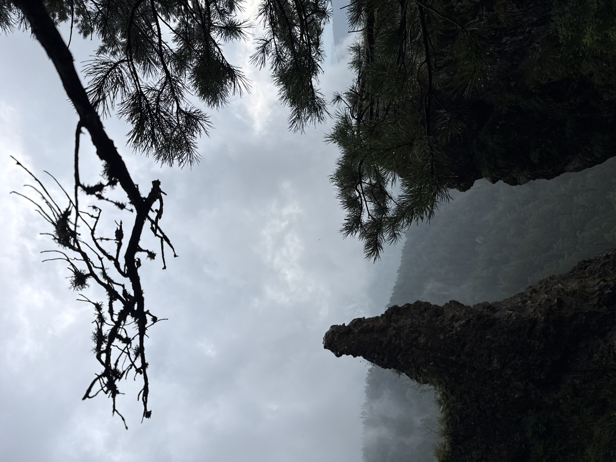The image is a landscape photograph taken outdoors, likely on a cloudy or misty day. The foreground features silhouetted branches of pine trees, with sharp needles and a rough texture, framing the scene from the top and right sides. In the center-left of the image, a prominent, jagged, dark rock formation juts upwards, appearing to be a cliff edge or a solitary pillar of rock. The rock is rough and textured, with some greenery clinging to its surface.
Behind the rock formation, a dense, green forest covers rolling hills that fade into a misty or foggy background. The overall atmosphere is moody and somewhat dramatic, with the overcast sky contributing to the subdued lighting. The image does not contain any people or animals.
Based on the provided information, this image depicts a natural landscape that is not specifically identifiable as being within the city of Urman, Russia. The visual elements are generic to mountainous or hilly forested regions.