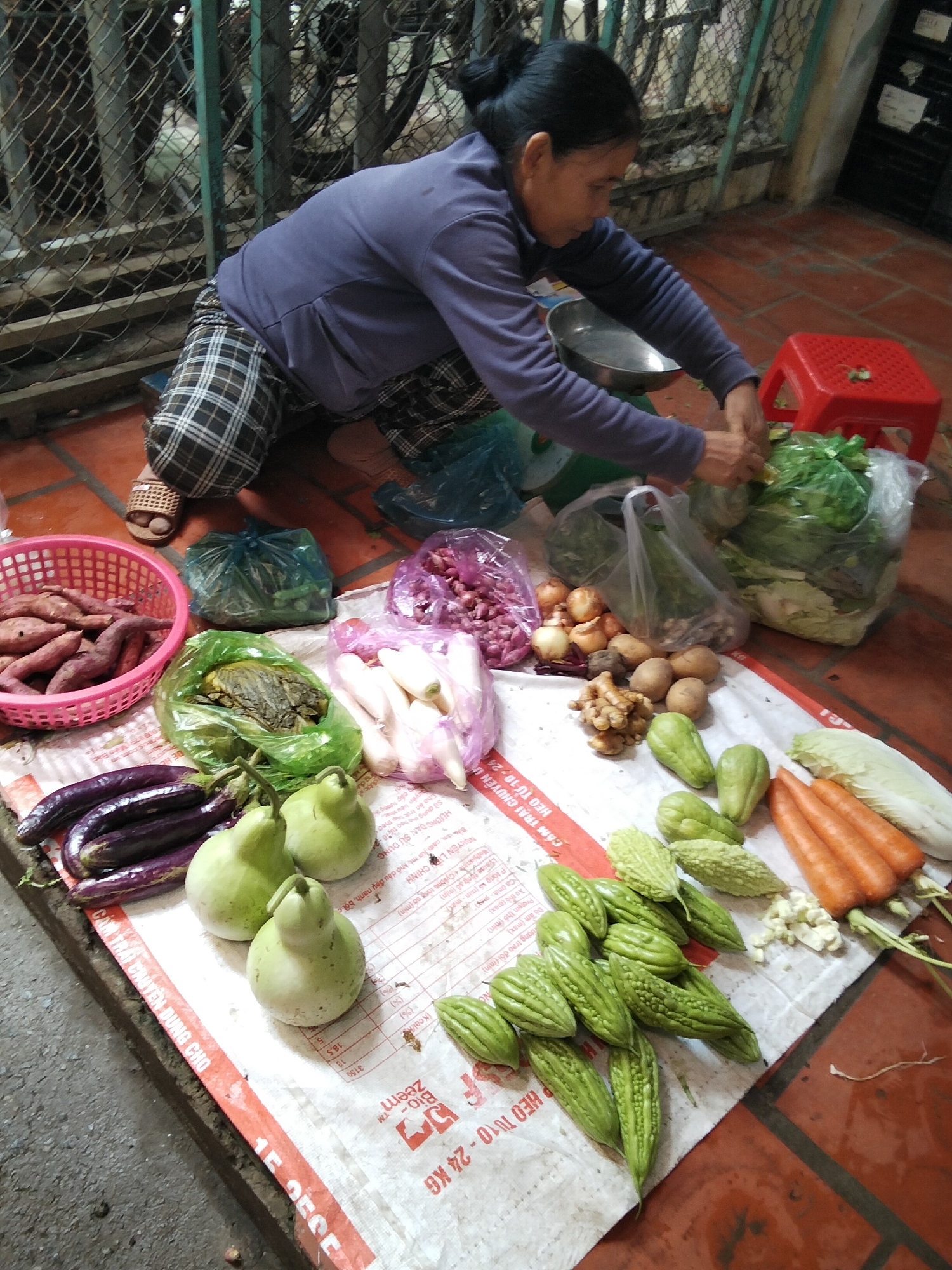 A woman is crouched on the ground in what appears to be a market stall in Mũi Né, Vietnam, surrounded by a variety of fresh produce. She is wearing a blue long-sleeved shirt and checkered pants, with her dark hair pulled back. Her hands are engaged in sorting through a bundle of green vegetables, possibly preparing them for sale.
The produce displayed includes a pink basket filled with sweet potatoes, several long purple eggplants, a bag of what looks like fermented greens, a pile of red onions, and loose onions and potatoes. Further to the right, there are bundles of white daikon radishes in plastic bags, a pile of ginger, and various other green vegetables, including bitter gourds and what appear to be chayote squashes. A bunch of bright orange carrots and a head of napa cabbage are also visible. The ground is a mix of red-tiled flooring and a white tarp or cloth laid out to display the goods. In the background, a metal fence and some obscured objects suggest an outdoor or semi-outdoor setting. A small red plastic stool is placed near the woman. The overall impression is one of a busy market scene with a vendor actively working.
