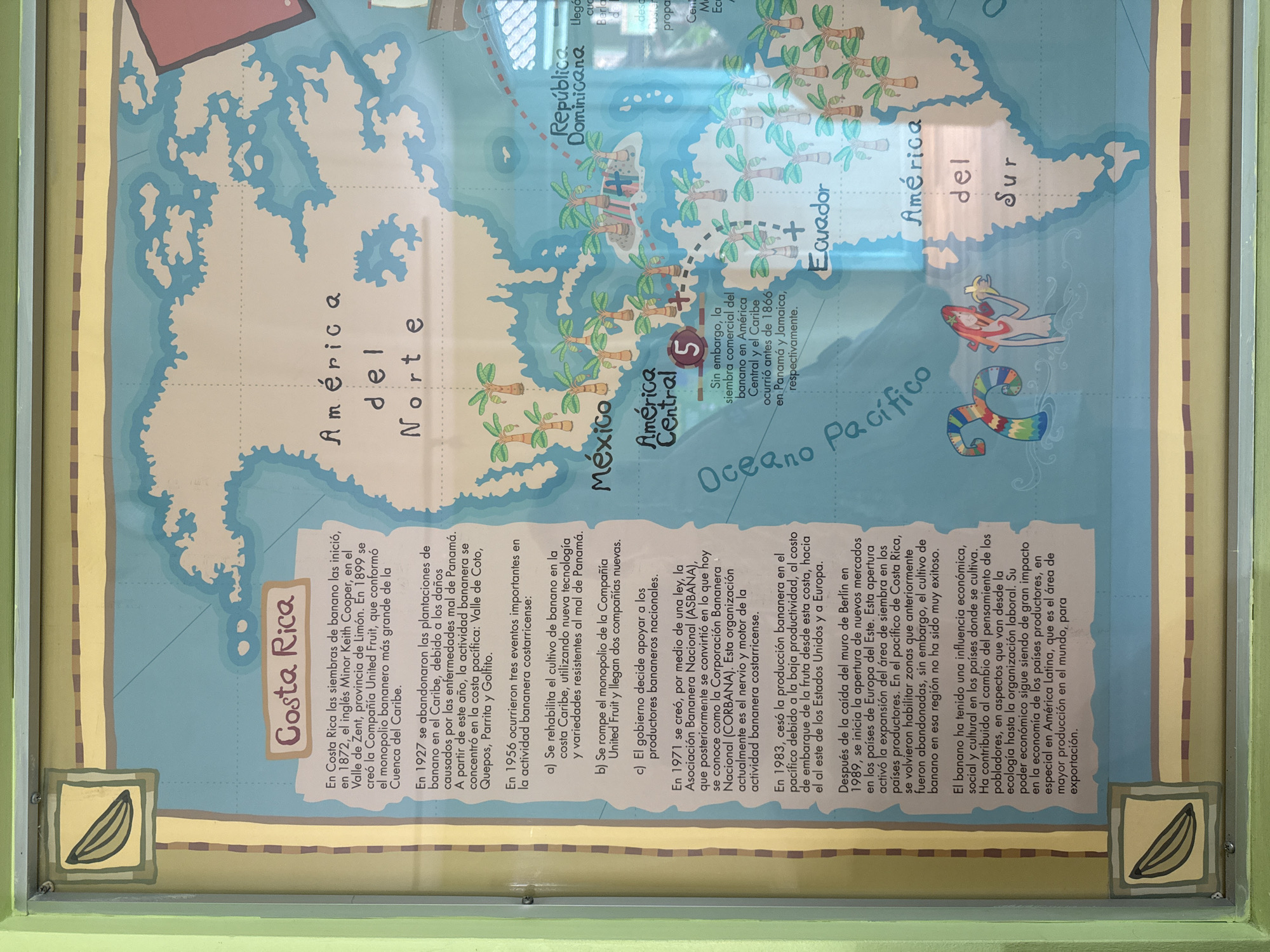 The image is a photograph of a colorful mural depicting a map of the Americas, with a focus on Costa Rica and its banana production history. The mural is mounted on a light blue wall, and the bottom of the frame shows a portion of a green frame surrounding the artwork. The mural itself is divided into sections with text boxes and illustrations.

The main area of the mural displays a stylized map of North, Central, and South America, with islands and coastlines rendered in blue and white. Numerous palm trees are illustrated across various regions, particularly in Central America and South America, signifying banana cultivation. Text boxes in Spanish provide historical information about banana farming in Costa Rica, including dates, company names (United Fruit), and key events. Specific locations in Costa Rica mentioned are Zent, Valle de Zenta, Limón, Coto, Quepos, Parrita, and Golfito.

The mural also includes decorative elements such as a stylized banana icon in the bottom left corner, a mermaid holding a banana in the Pacific Ocean section, and a rainbow-colored serpentine creature. Labels like "América del Norte," "México," "América Central," "República Dominicana," and "Ecuador" are present on the map.

The text describes the introduction of banana cultivation in Costa Rica in 1872, the establishment of the United Fruit Company, diseases affecting plantations, the recovery and modernization of the industry, and the formation of the National Banana Association (ASBANA). It also mentions the impact of the fall of the Berlin Wall in 1989 on opening new markets and the significant economic, social, and cultural influence of banana production in Latin America.

The photograph appears to be taken in San José, Costa Rica, based on the context of the mural's subject matter, which highlights the country's history and importance in banana cultivation. However, there are no explicit visual cues within the photograph itself (like street signs, architectural styles of the surrounding environment) that definitively pinpoint the location within San José or even confirm it is indoors or outdoors, other than it is framed by a green border, suggesting it might be a permanent display in a public space or building. The lighting suggests artificial illumination, common in indoor exhibition spaces.