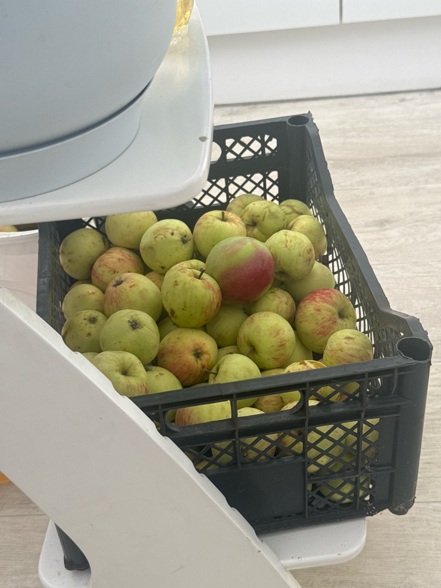 The image shows a black plastic crate filled with green and red apples. The crate is placed on a white surface, possibly a shelf or a table. In the background, a light-colored wall and a wooden floor are visible. The scene appears to be indoors, in a domestic setting. There are no people visible in the image. The lighting is natural, coming from an unseen source, and casts soft shadows. The overall impression is one of abundance and harvest. The image does not contain any elements that would allow for the determination of its location in Ufa, Russia.
