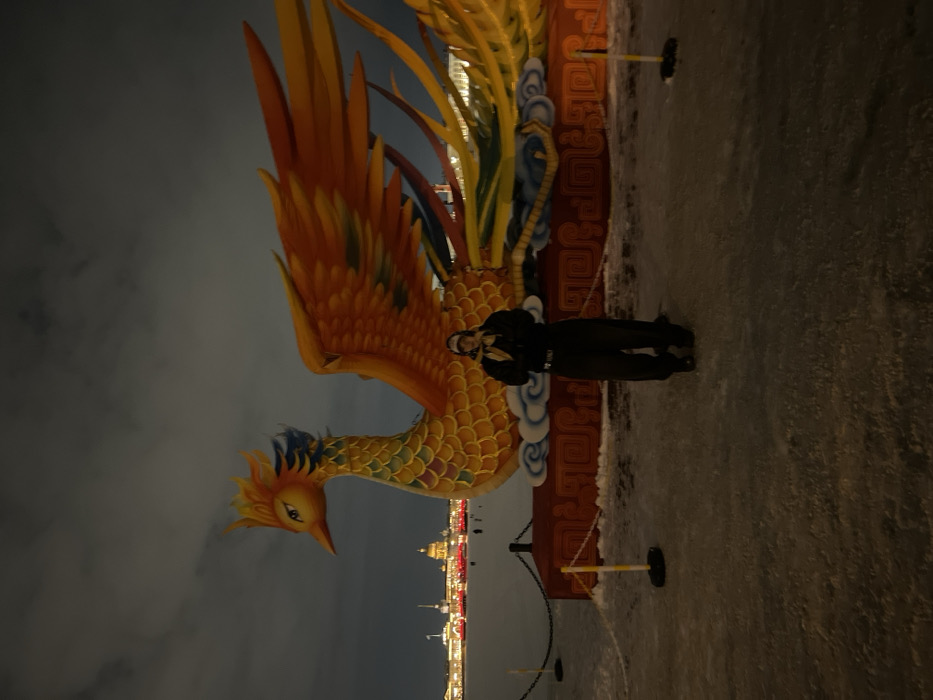 A vibrant, ornate statue of a phoenix dominates the scene, with fiery orange and yellow feathers. A person stands beside the statue, their face partly obscured, wearing dark clothing. The background shows a city skyline with illuminated buildings. The ground appears icy, with a faint texture. The overall image is taken at night. The statue is secured by black chains and yellow and white poles.