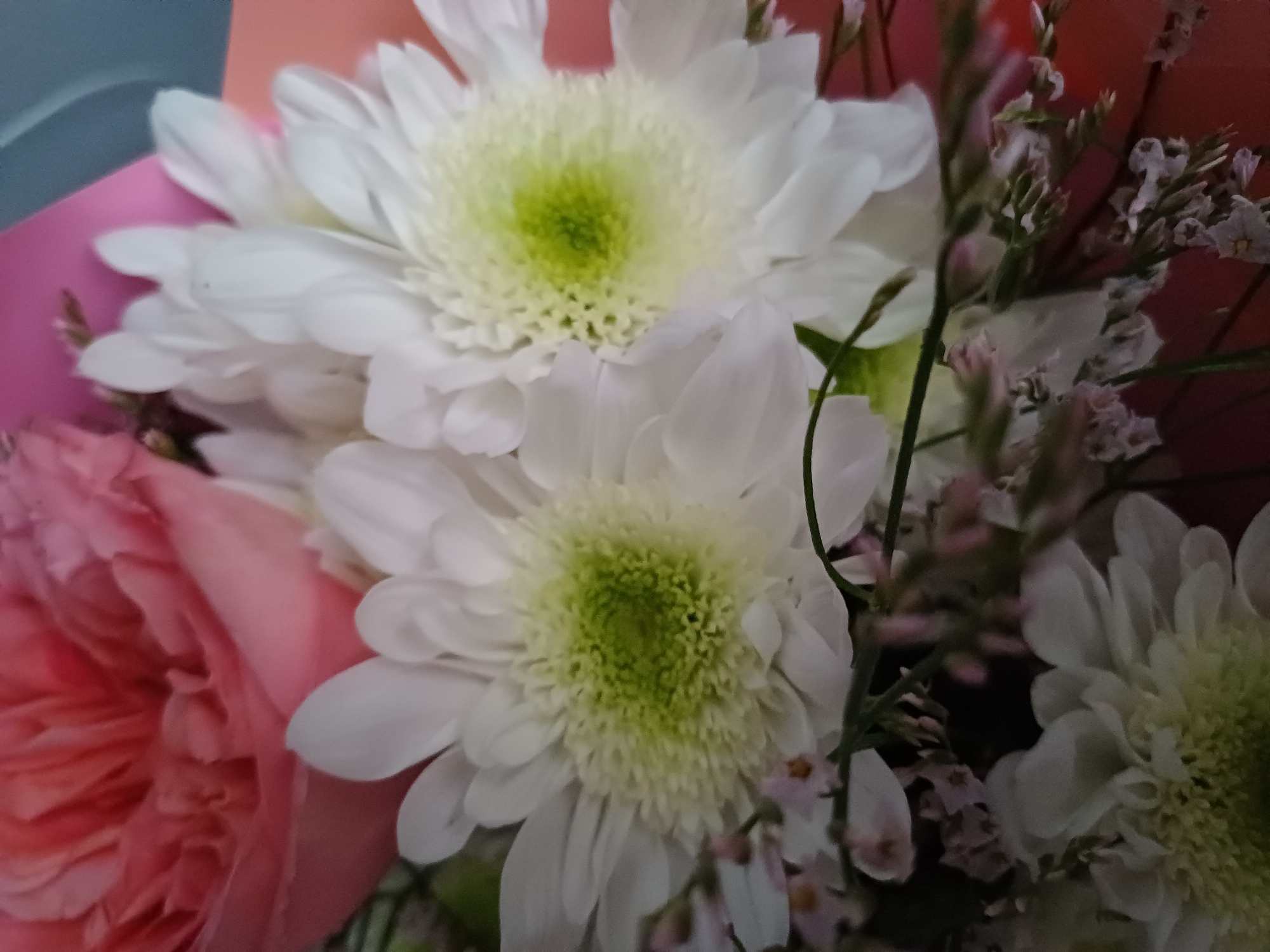 A close-up shot captures a bouquet of flowers, dominated by large white daisies with vibrant green centers. Behind them, a large pink rose is partially visible, its petals unfurling. Smaller, delicate pink and white flowers are scattered throughout the arrangement, adding texture and depth. The background is a blur of soft pink and blue, suggesting a celebratory or decorative setting. The lighting is soft, highlighting the delicate details of the petals and creating a gentle glow. The scene is static, with no discernible action or interaction. The focus is entirely on the floral composition, emphasizing its natural beauty and delicate artistry. The image is taken from an eye-level perspective, bringing the viewer intimately close to the flowers.