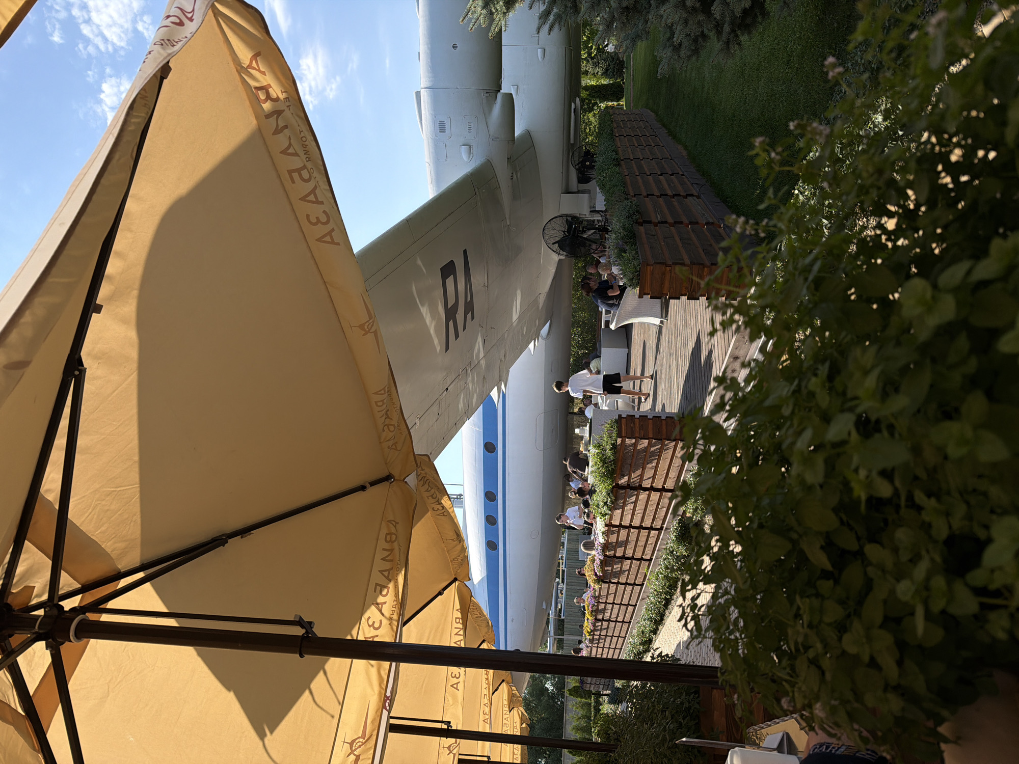 The image depicts an outdoor seating area of a cafe or restaurant, with a large airplane serving as a prominent backdrop. Several patrons are seated at tables under umbrellas, enjoying the sunny weather. The cafe appears to be located in the city of Kamyshin, Russia, as indicated by the Cyrillic text visible on the umbrellas, which reads "Zelentop" (ЗЕЛЕНТОП) and possibly part of a location name. The airplane is white with a blue stripe and appears to be a passenger aircraft. Greenery and wooden planters with flowers line the seating area, with a well-maintained lawn and evergreen trees visible in the background. The overall atmosphere suggests a casual and pleasant outdoor dining experience.