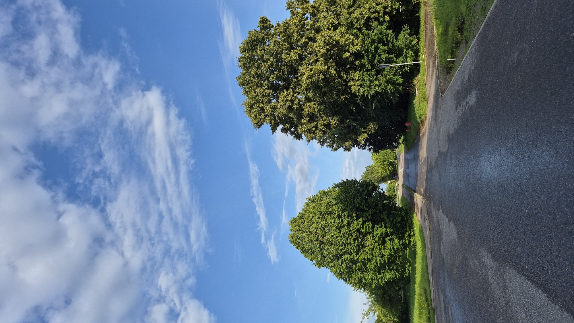 The image depicts a road curving through a rural landscape under a bright blue sky with scattered white clouds. Lush green trees line the left side of the road, with the foliage appearing dense and healthy. The road itself is paved and appears wet, suggesting recent rain or dew. Sunlight illuminates the scene, casting a warm glow, and indicating it is likely daytime, possibly late morning or early afternoon. The overall mood is serene and peaceful, with the natural elements of trees and sky dominating the view. There are no people or explicit objects that suggest a specific event. The location context provided is Krauja, Latvia, which aligns with the rural, tree-lined road scenery.