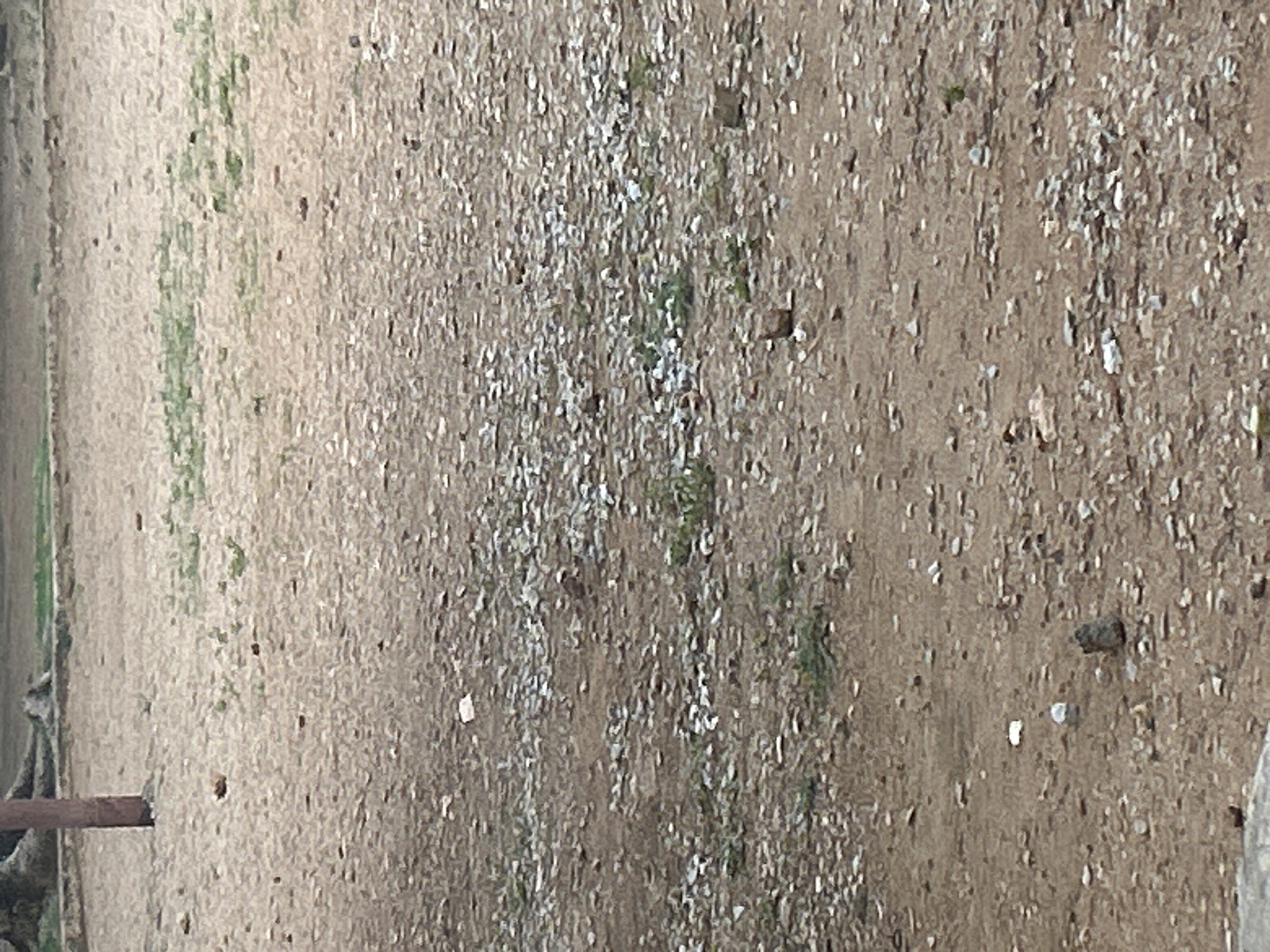 The image depicts a dry, dusty ground surface in Santa Ana, Venezuela. The ground is covered with small pebbles, dirt, and scattered green vegetation. In the background, a wooden post stands vertically, partially obscured by what appears to be foliage or a tree trunk. There are no visible people or animals in the scene. The overall impression is of an outdoor, unpaved area.