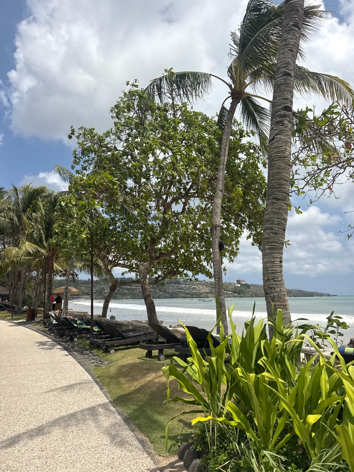 This is a photograph taken in Kuta Selatan, Indonesia, featuring a tropical beach scene. In the foreground, a paved walkway curves to the left, bordered by lush green grass and large, leafy plants. Beyond the grass, a row of empty, dark-colored lounge chairs with wheels are arranged facing the ocean. Several palm trees of varying heights are scattered throughout the scene, with their fronds swaying gently. In the mid-ground, the turquoise ocean meets a sandy beach, with small waves breaking. A few boats are visible on the water in the distance, and a hillside with buildings is visible on the far shore. The sky is a bright blue, dotted with fluffy white clouds. The lighting suggests it is daytime, likely late morning or early afternoon, with the sun casting shadows across the walkway.