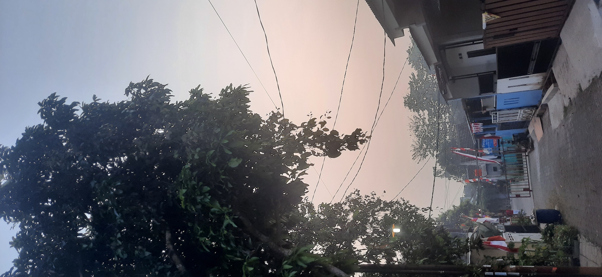 The image depicts a street scene in Cisauk, Indonesia, likely at dusk or dawn, given the soft lighting and pale sky. A large tree with dense foliage dominates the left side of the frame, its branches extending towards the sky. Power lines are visible crisscrossing the upper portion of the image, with a street lamp hanging from one of them.
On the right side, a residential building with a dark-tiled roof and white walls is partially visible, featuring a dark-colored fence. A narrow paved street runs through the center of the image, leading towards a gated entrance further down. Several Indonesian flags, red and white, are displayed along the street, some attached to buildings and poles, suggesting a patriotic or festive occasion.
The street appears to be lined with houses and fences, with some green foliage and potted plants visible. A dark blue trash bin is placed on the left side of the street. A single person in a white shirt is standing near the gated entrance in the distance. The overall impression is a quiet, residential neighborhood in Indonesia.