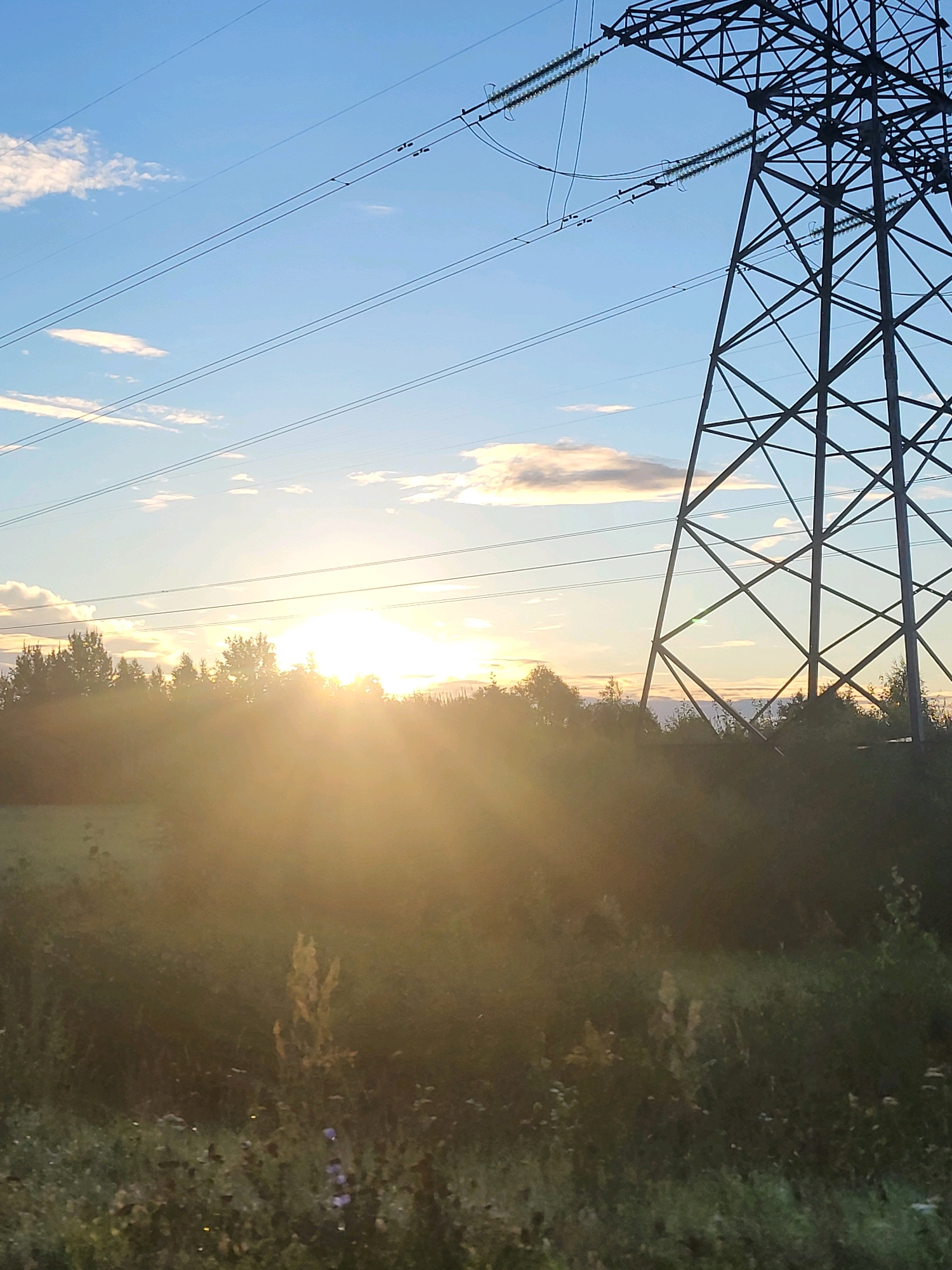An outdoor shot captures a transmission tower in the right half of the frame, its dark metal latticework stark against a bright, hazy sky. The sun, a diffused ball of light, shines from the left, partially obscured by trees and foliage in the middle ground. Power lines stretch horizontally across the sky. The foreground shows dense green vegetation with hints of wildflowers.