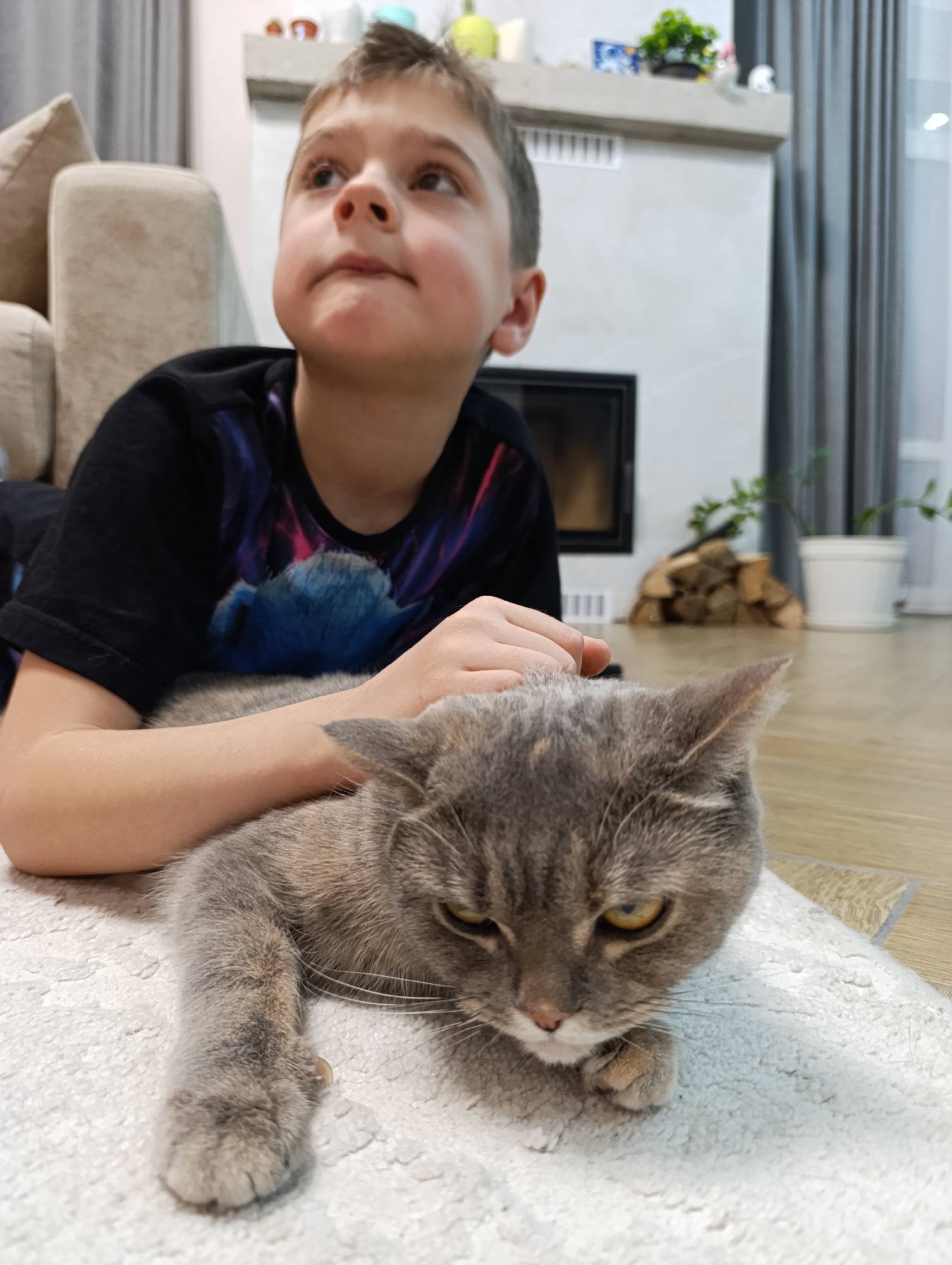 The image depicts a young male, approximately 8-12 years old, and a domestic short-haired cat in an indoor setting in Chaikovsky, Russia. The boy, dressed in a dark t-shirt with a colorful abstract design, lies prone on a light-colored shaggy rug, propped on his forearms. He gazes upward and to the right with a contemplative expression. His left forearm rests lightly on the cat's back. The cat, a grey tabby-tortie mix with amber eyes, also lies prone on the rug directly in front of the boy, facing forward with a slightly displeased or serious expression. A single, transparent claw is partially extended from its visible front paw.
In the background, a light-colored upholstered sofa is visible on the left. Centered behind the subjects is a modern, light grey fireplace structure with a dark, rectangular firebox and a vent above. The mantelpiece holds various decorative items, including small green potted plants and other figurines. To the right of the fireplace, a stack of cut firewood is neatly arranged on a light-colored wooden floor. Further right, a potted plant in a white container sits near a window or glass door, partially obscured by dark grey curtains.