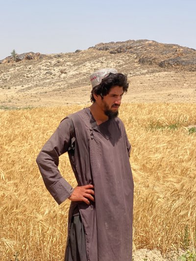 A man stands in a field of ripe wheat in Mir Ahmad Kalay, Afghanistan. He wears a traditional grey-brown long-sleeved shirt with side buttons, dark trousers, and a patterned cap. The man has dark hair and a beard. He is positioned with his left hand on his hip, looking slightly to the right. Behind him is a dry, rocky hill under a bright sky.