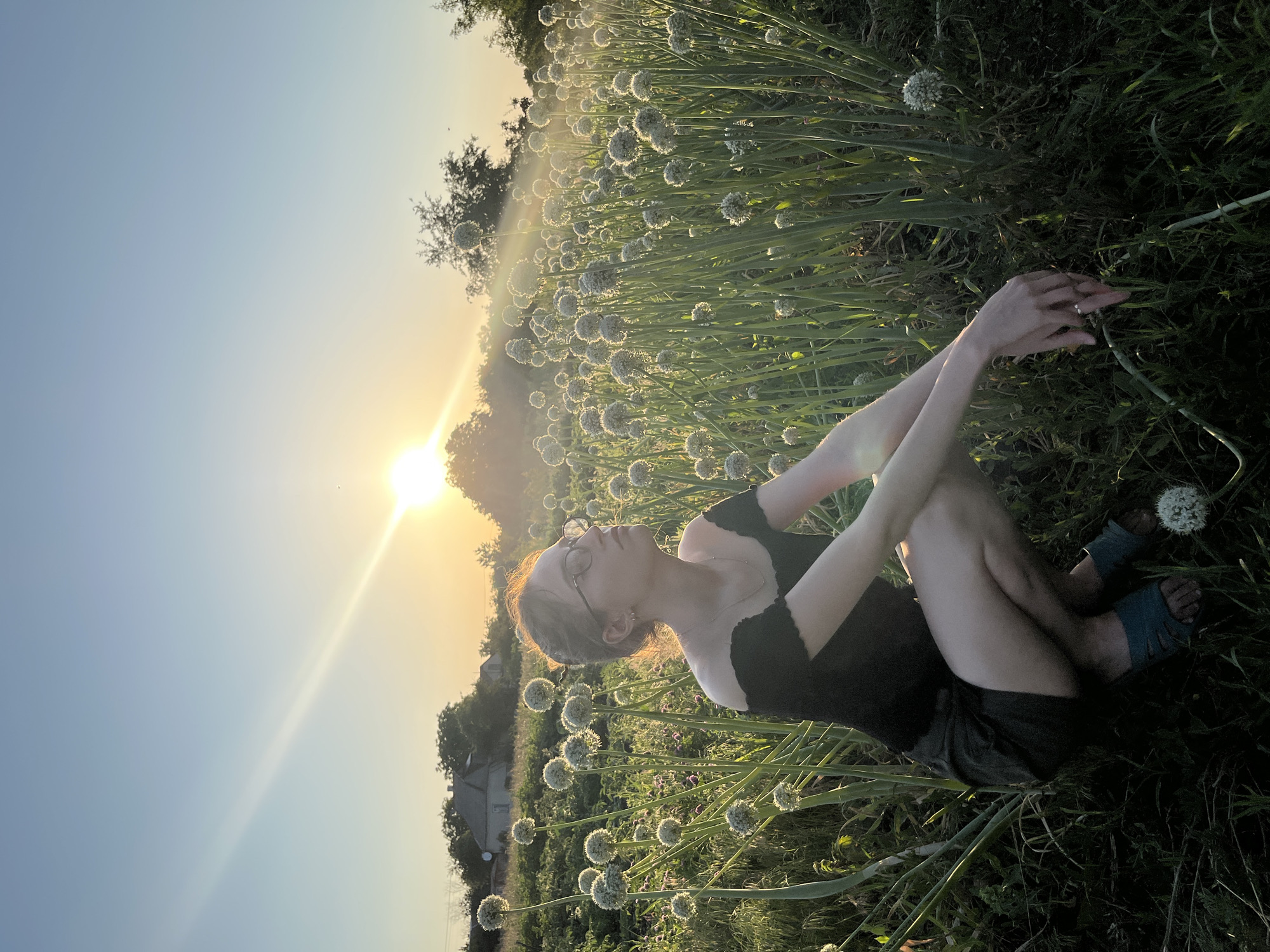 A young woman with glasses sits in a field of tall, flowering plants, possibly onions, at sunset. The sun, a bright orb with visible rays, is low in the sky, casting a warm golden light over the scene. The sky is a clear, soft blue. The woman is wearing a black top and dark shorts, with blue sandals on her feet. Her arms are crossed over her chest, and her head is tilted back, looking towards the sun. Her eyes are closed, suggesting a moment of peace or reflection. The field is dense with the green stalks and white, spherical blooms of the plants, which create a natural backdrop. In the distance, through the haze of the setting sun, a few buildings and trees are visible, hinting at a rural or semi-rural setting. The overall mood is serene and tranquil, with the natural beauty of the field and the warm light of sunset contributing to a peaceful atmosphere. There is no visible text in the image.