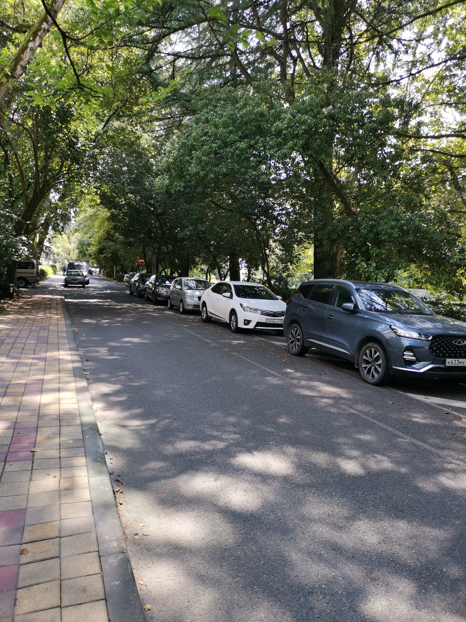 The image depicts a street scene in Sochi, Russia, characterized by a tree-lined road with parked cars and a sidewalk. A row of vehicles, including a dark blue SUV, a white sedan, and several other cars, are parked along the right side of the asphalt road. The left side of the road features a paved sidewalk with a patterned design of beige, pink, and purple tiles. Lush green trees with dense foliage overhang the road and sidewalk, casting dappled shadows on the asphalt and pavement. The environment appears to be a quiet, residential or park-like area, with no discernible human activity beyond the parked vehicles.